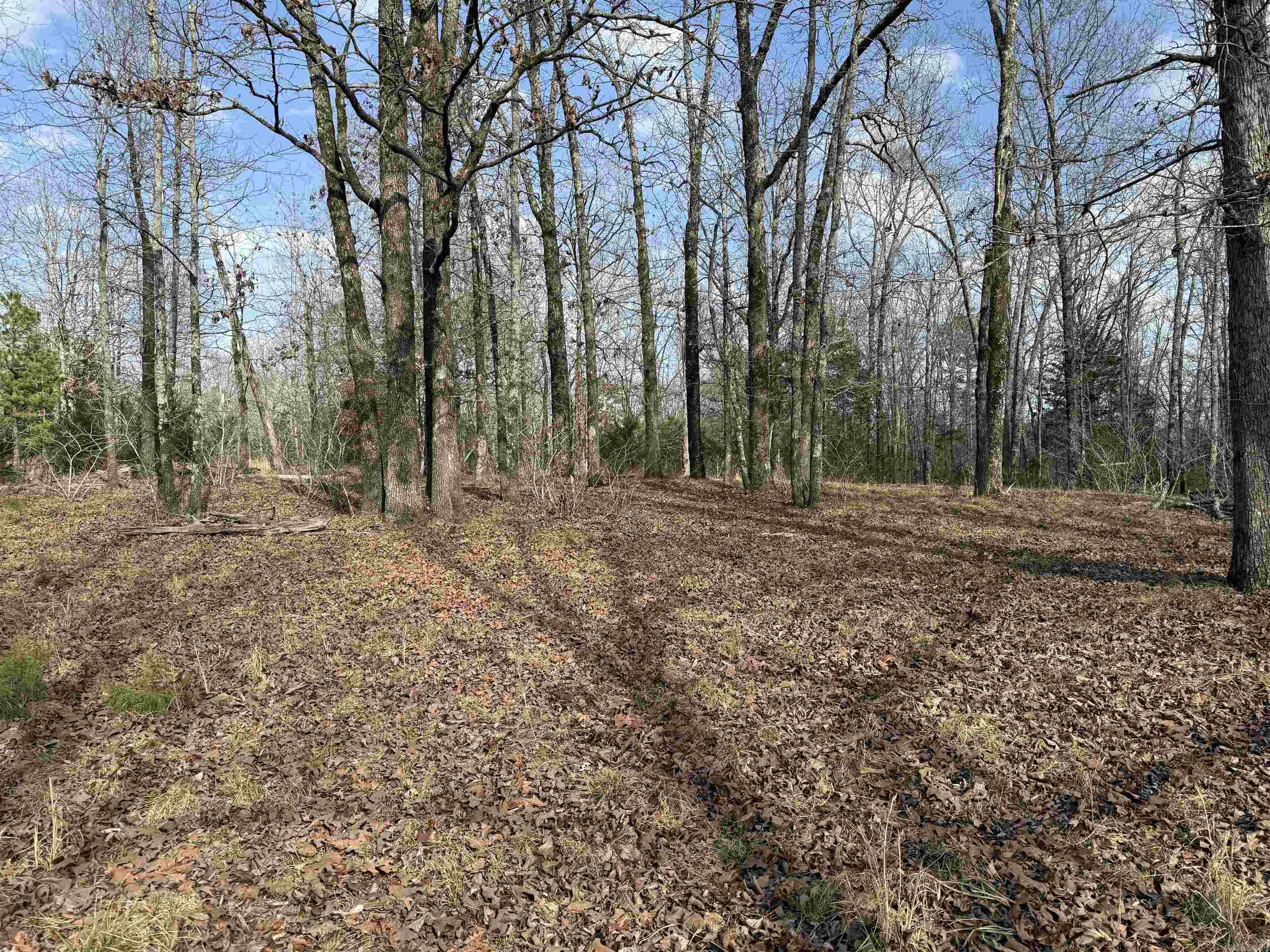  Heber Springs Area Heber Springs Area Heber Springs, AR