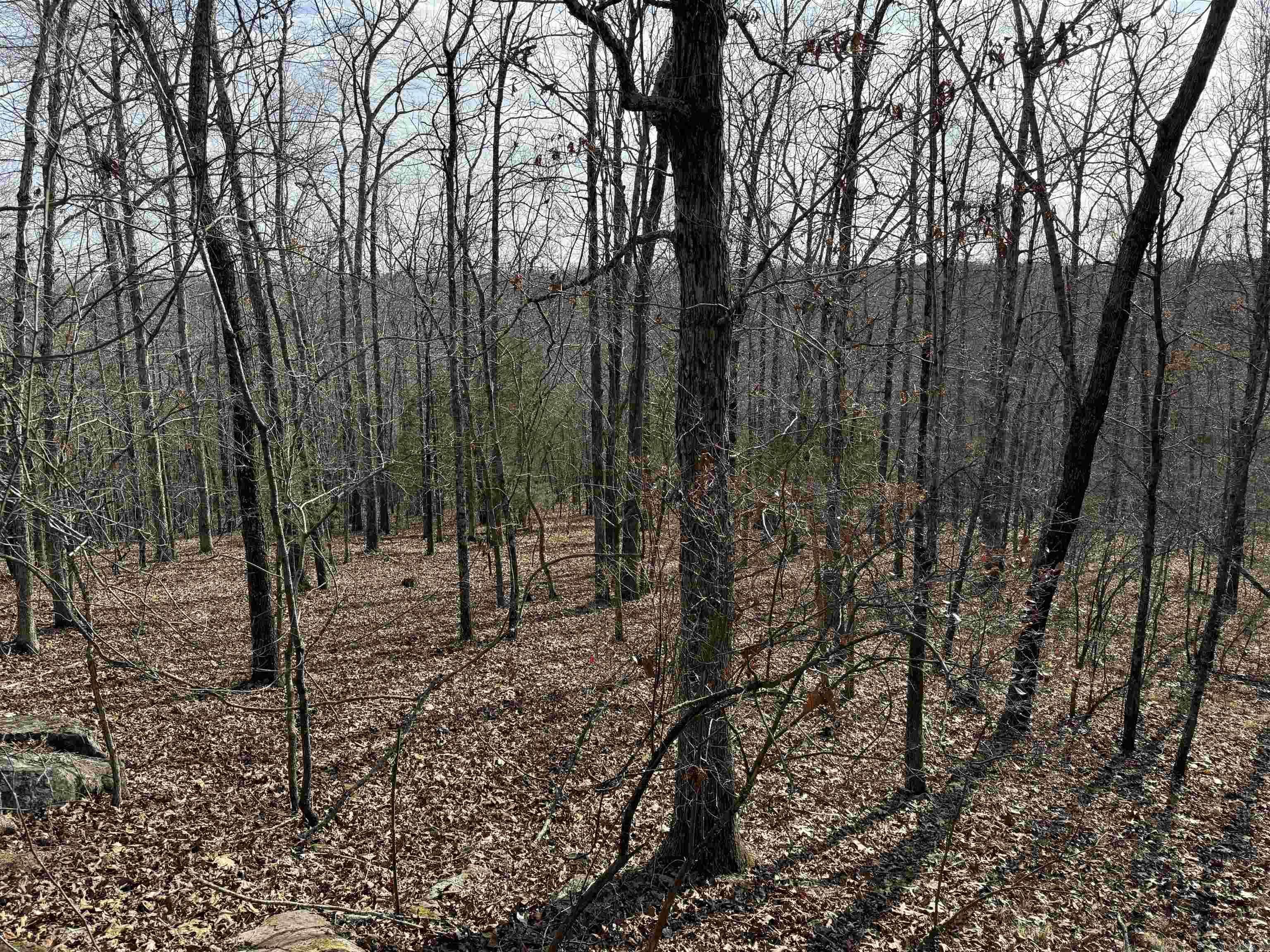  Heber Springs Area Heber Springs Area Heber Springs, AR