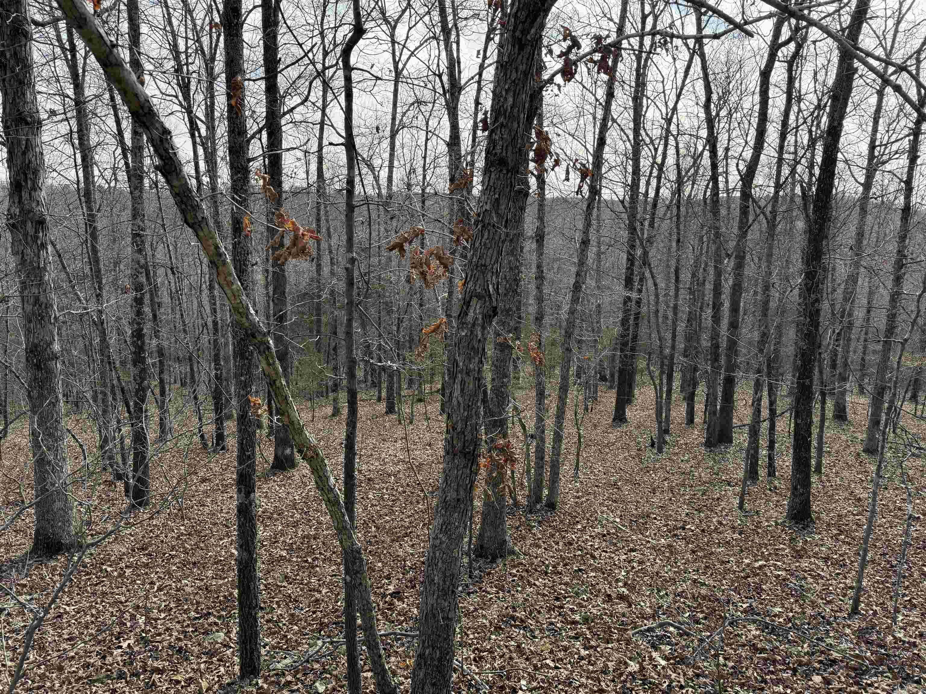  Heber Springs Area Heber Springs Area Heber Springs, AR