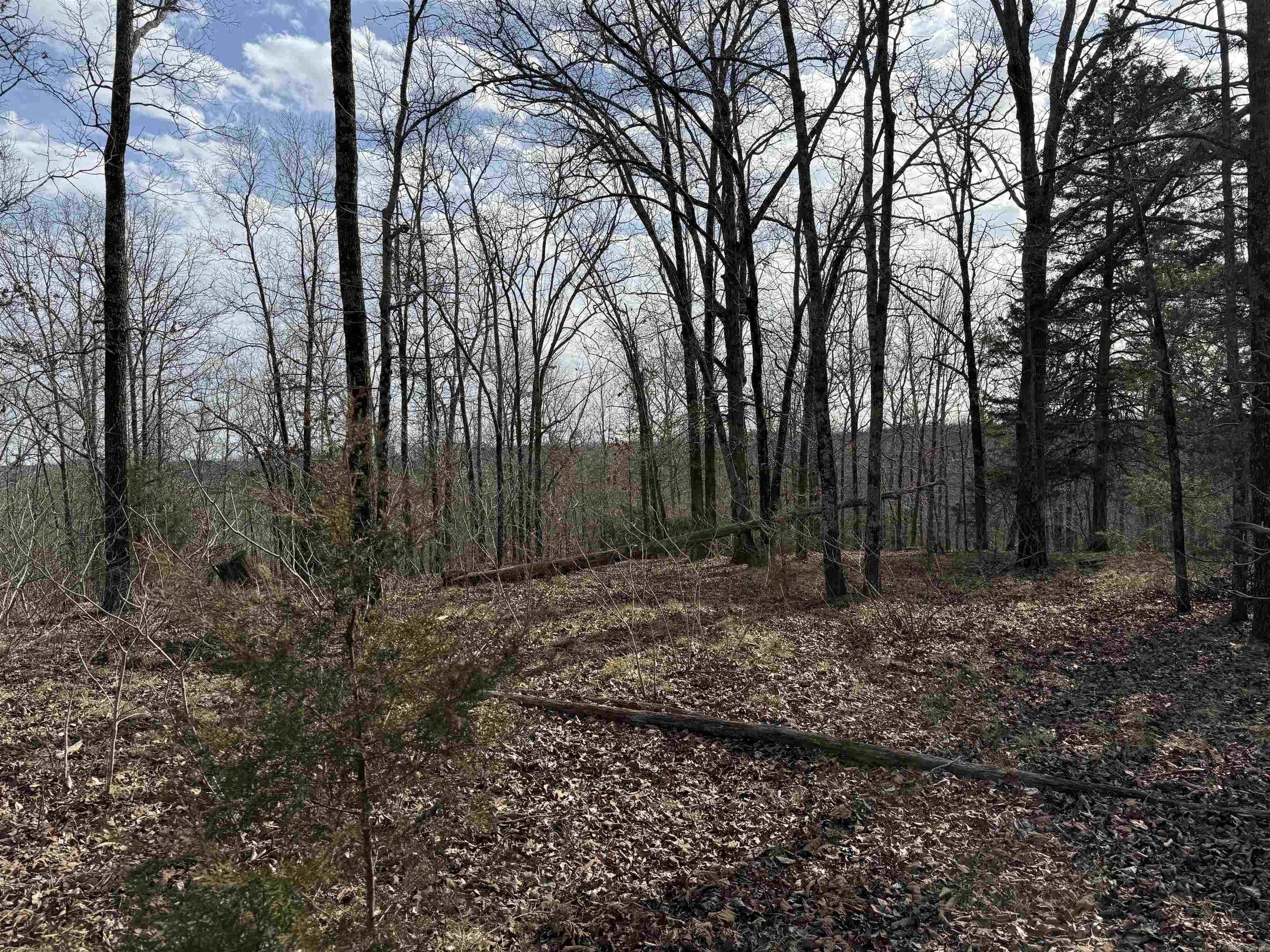  Heber Springs Area Heber Springs Area Heber Springs, AR