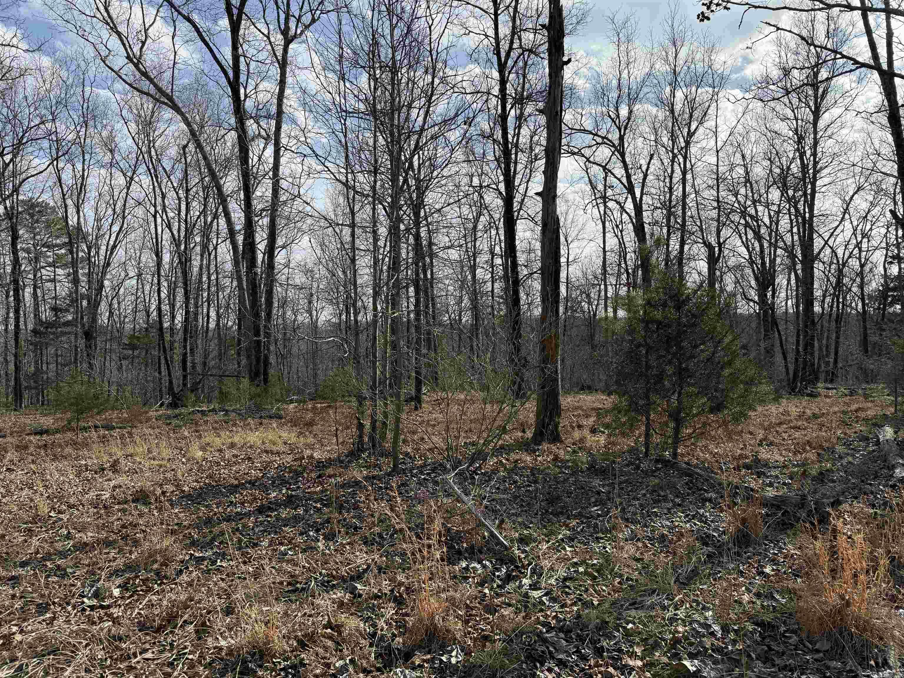  Heber Springs Area Heber Springs Area Heber Springs, AR