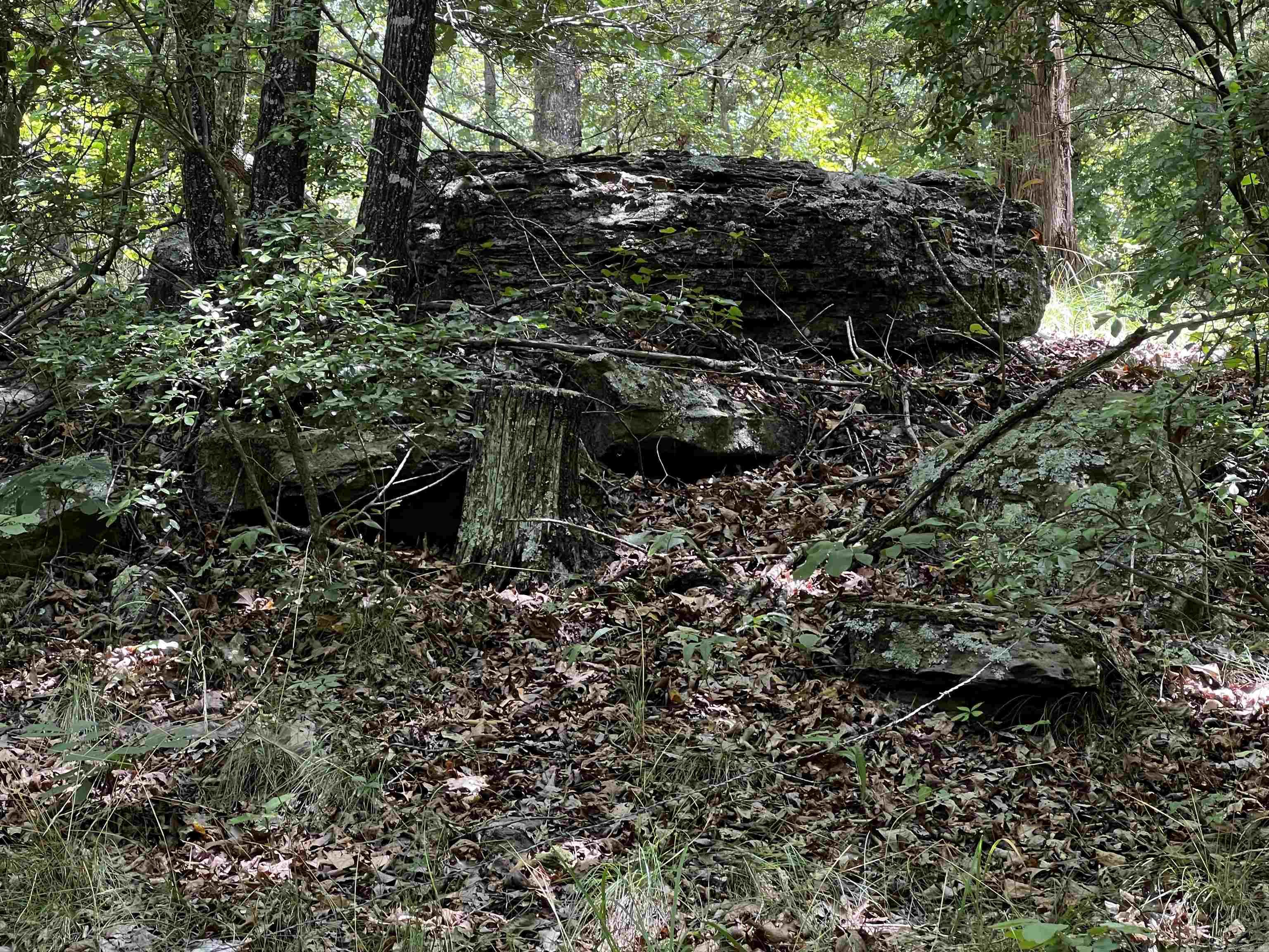  Heber Springs Area Heber Springs Area Heber Springs, AR