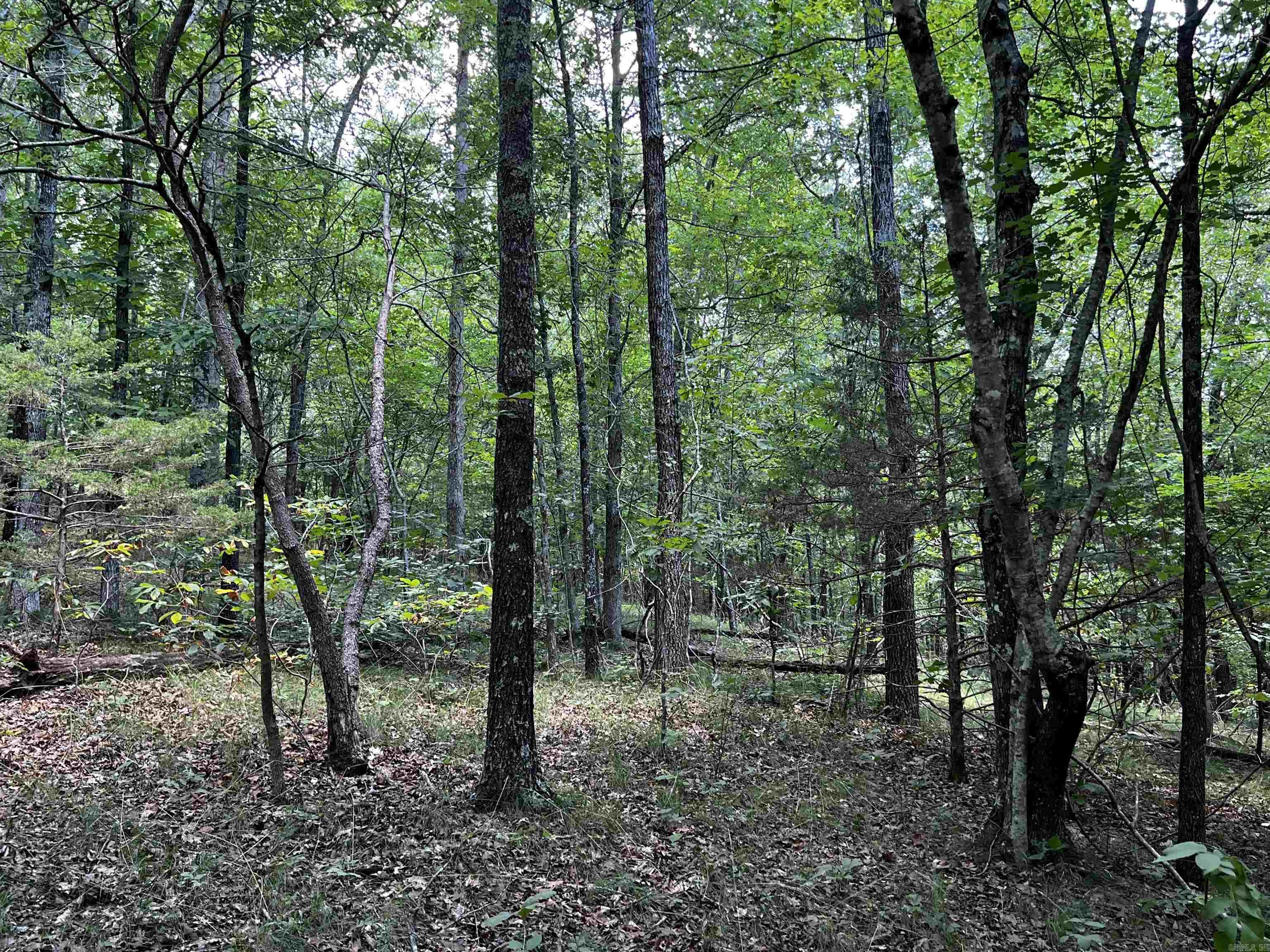  Heber Springs Area Heber Springs Area Heber Springs, AR