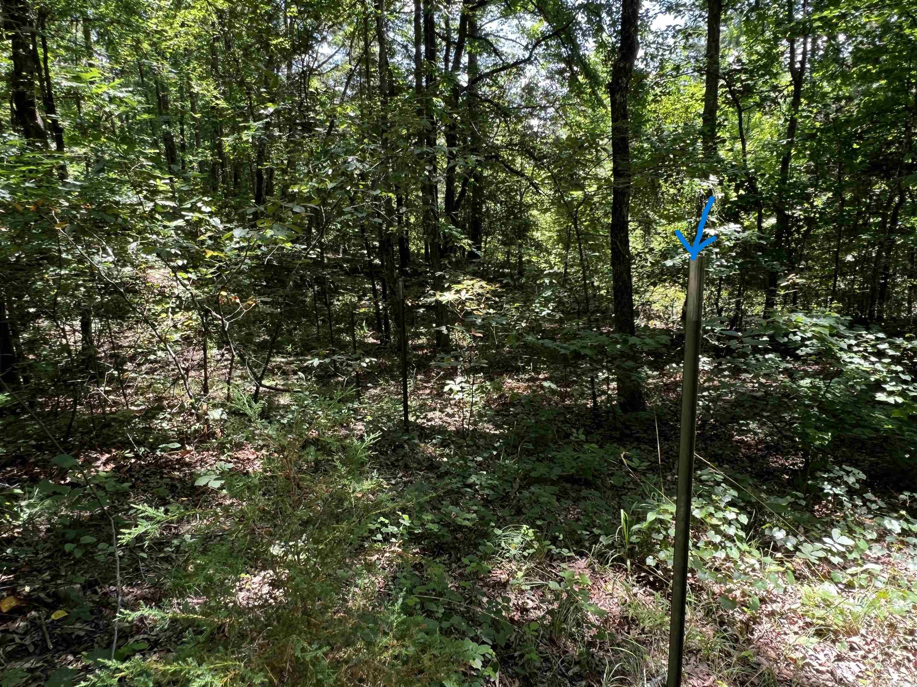  Heber Springs Area Heber Springs Area Heber Springs, AR