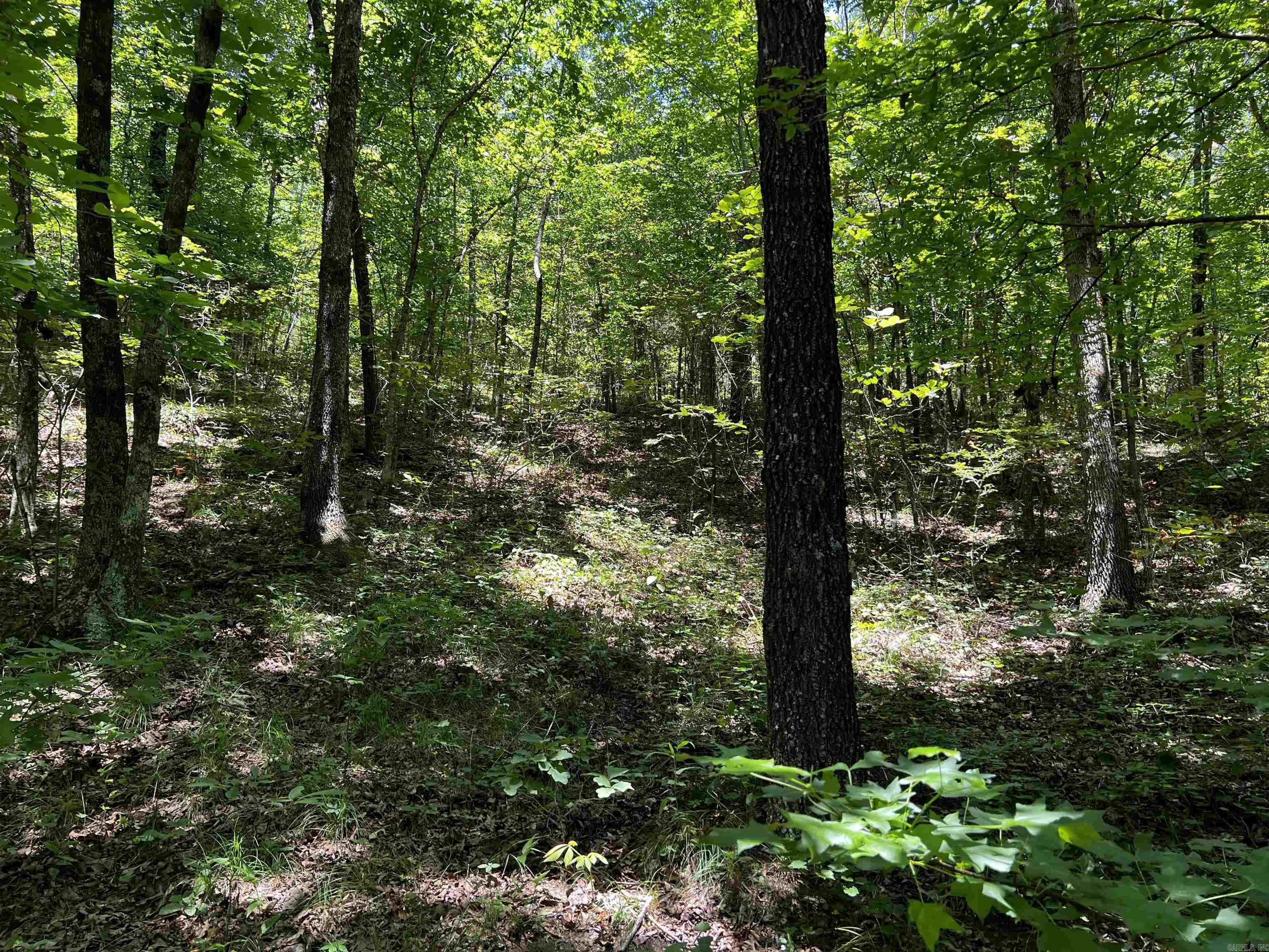  Heber Springs Area Heber Springs Area Heber Springs, AR