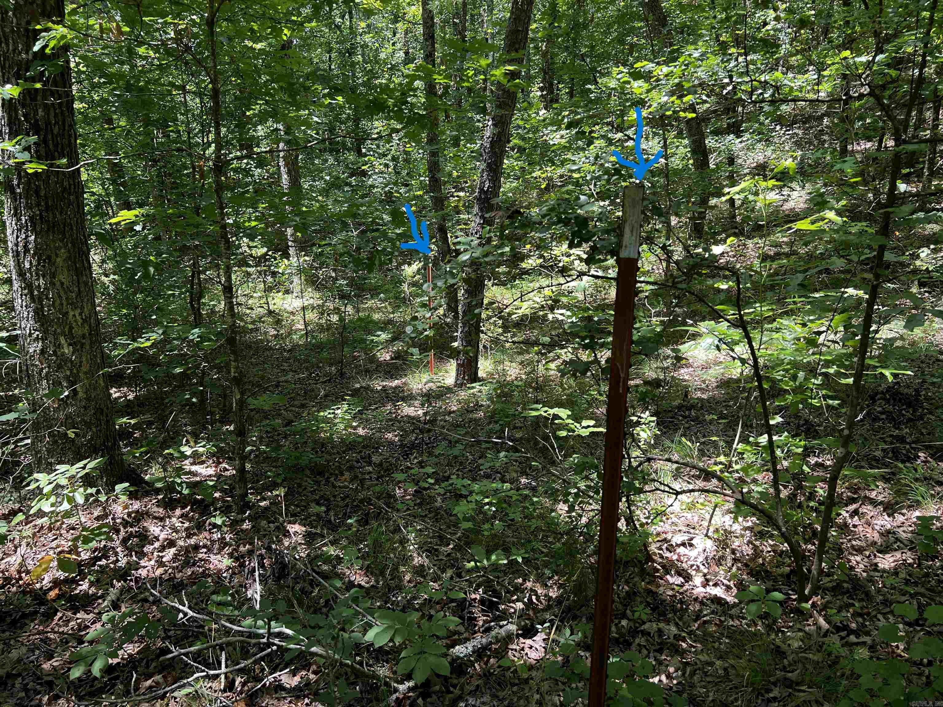  Heber Springs Area Heber Springs Area Heber Springs, AR