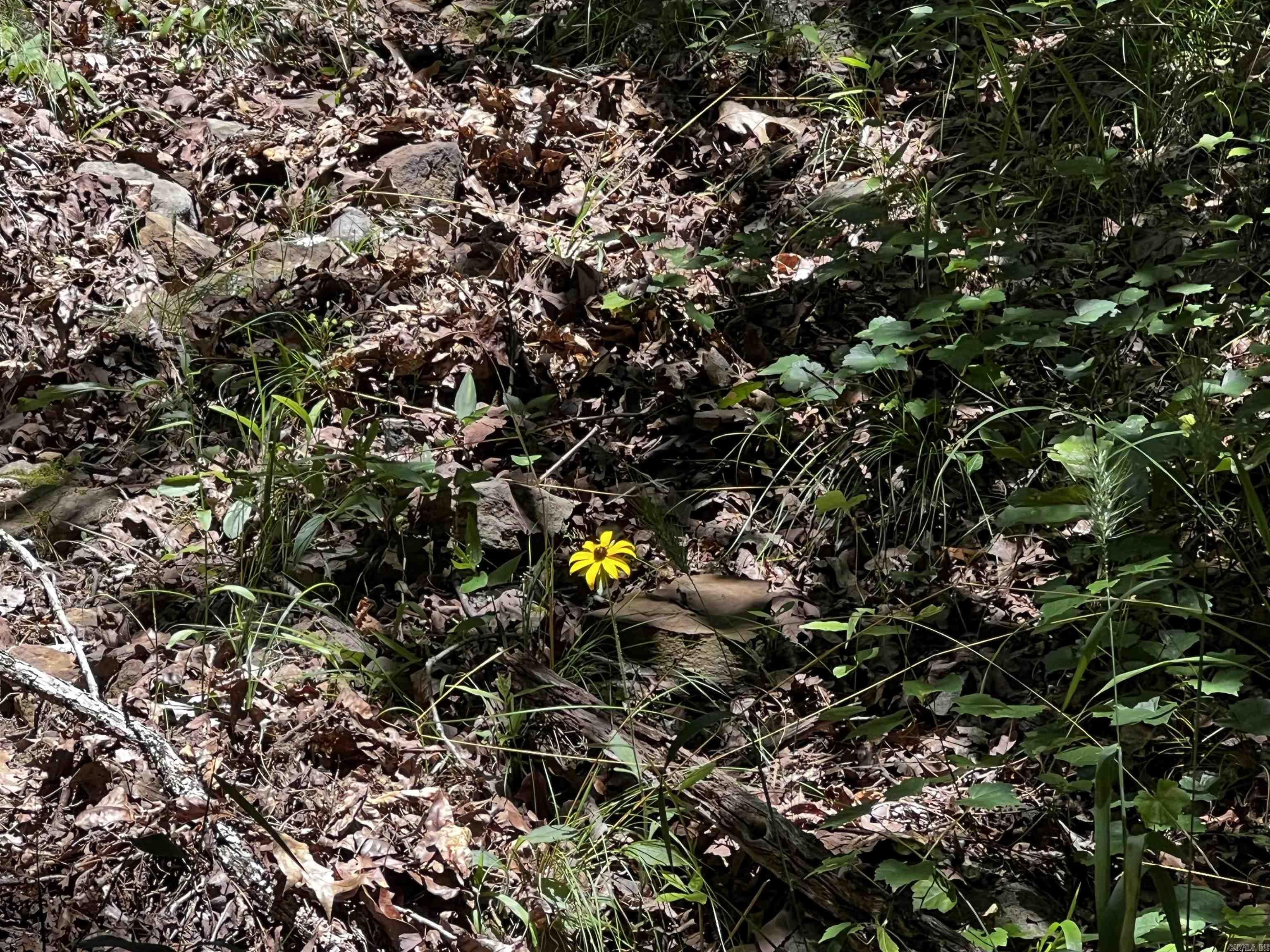  Heber Springs Area Heber Springs Area Heber Springs, AR