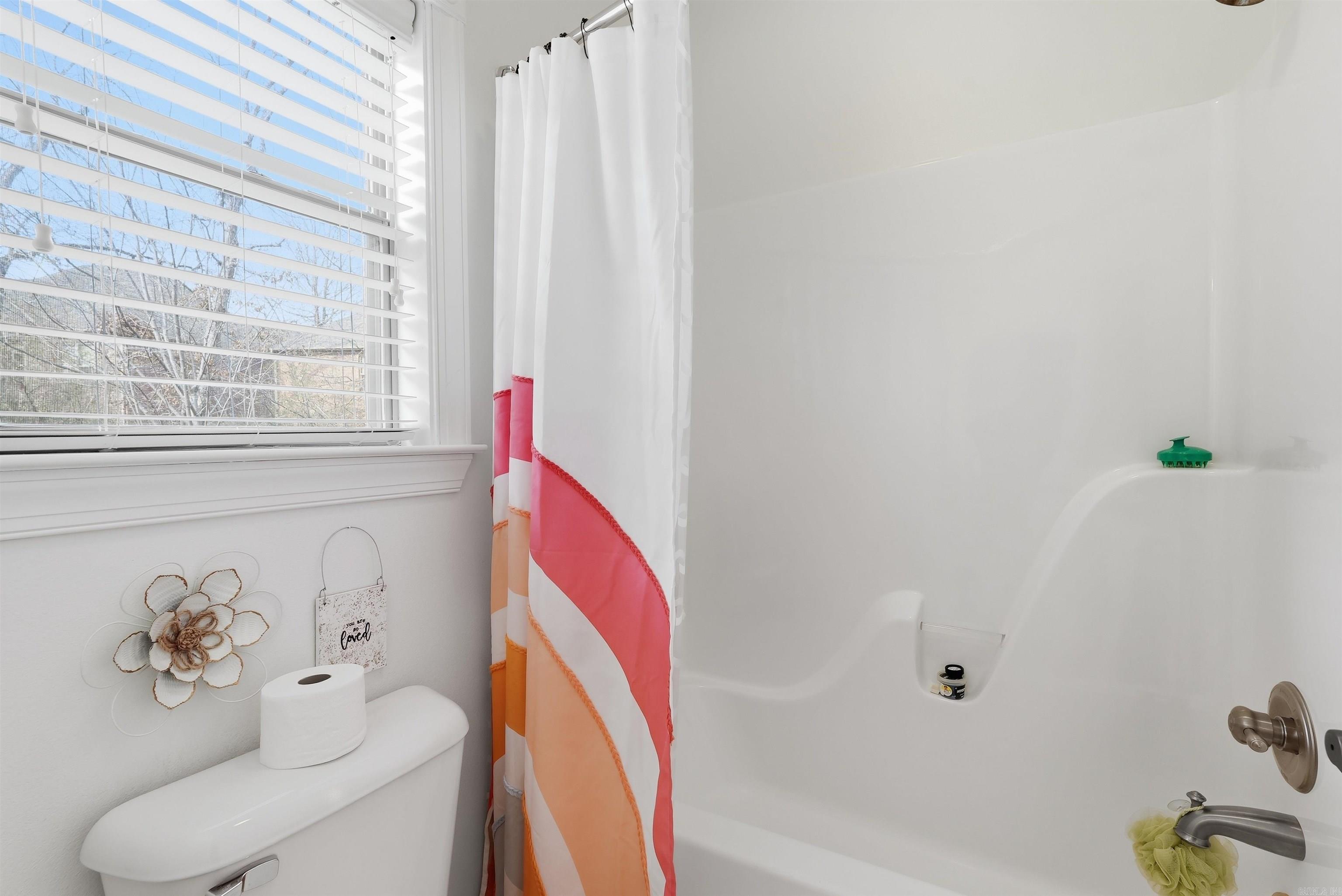 5 Wood Thrush  Little Rock, AR