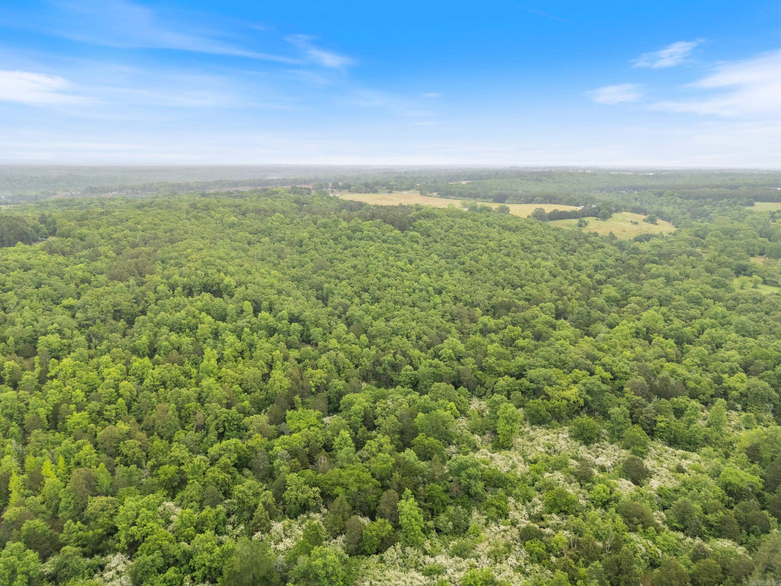 0 Beene Road  Greenbrier, AR