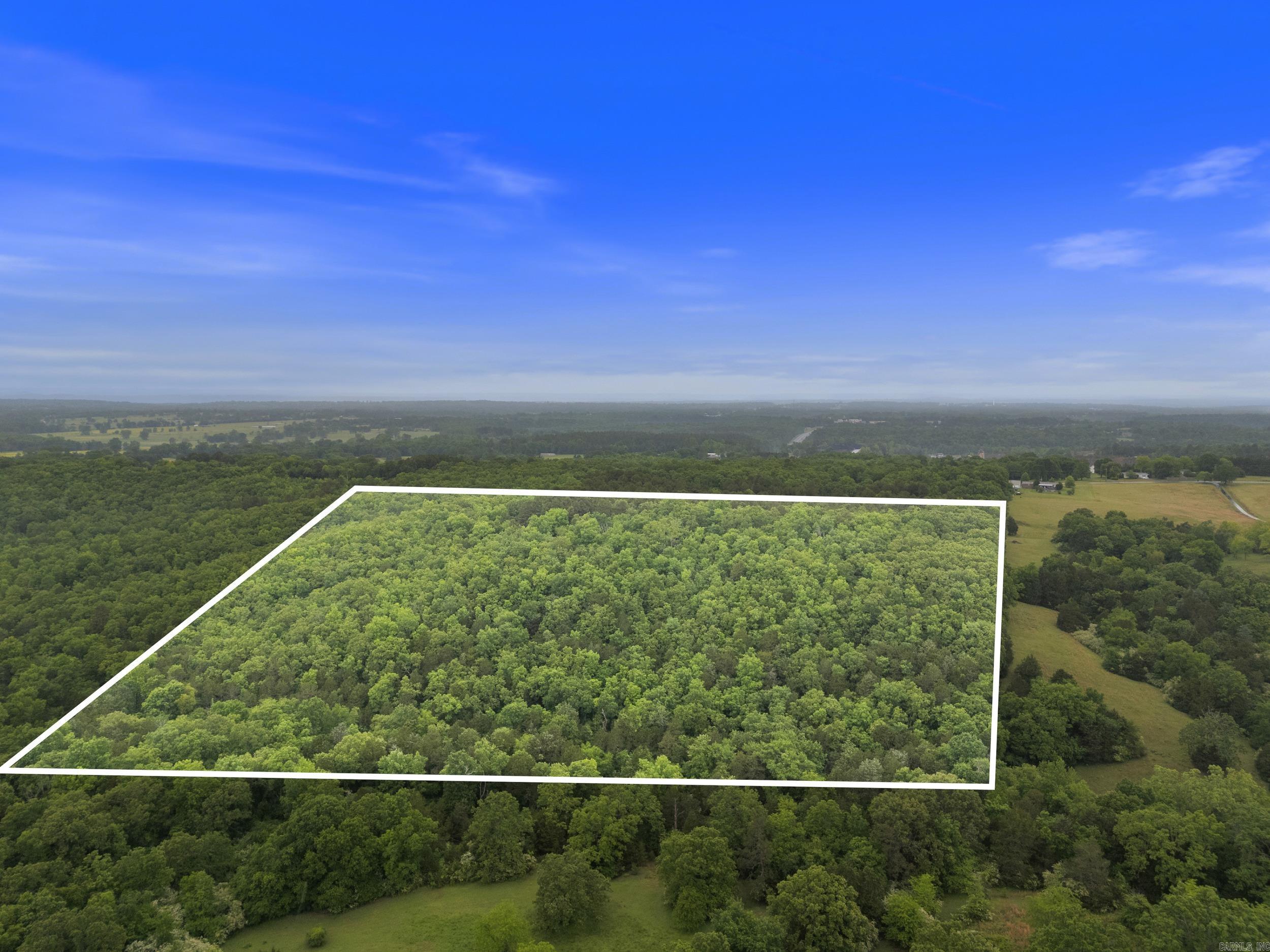 0 Beene Road  Greenbrier, AR