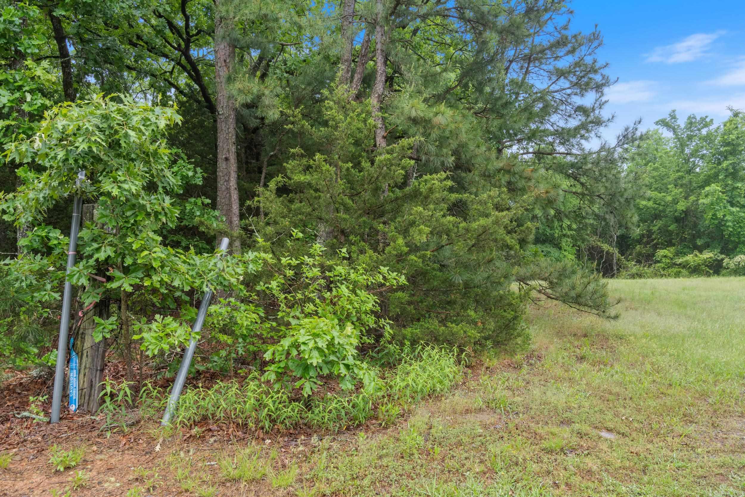 0 Beene Road  Greenbrier, AR