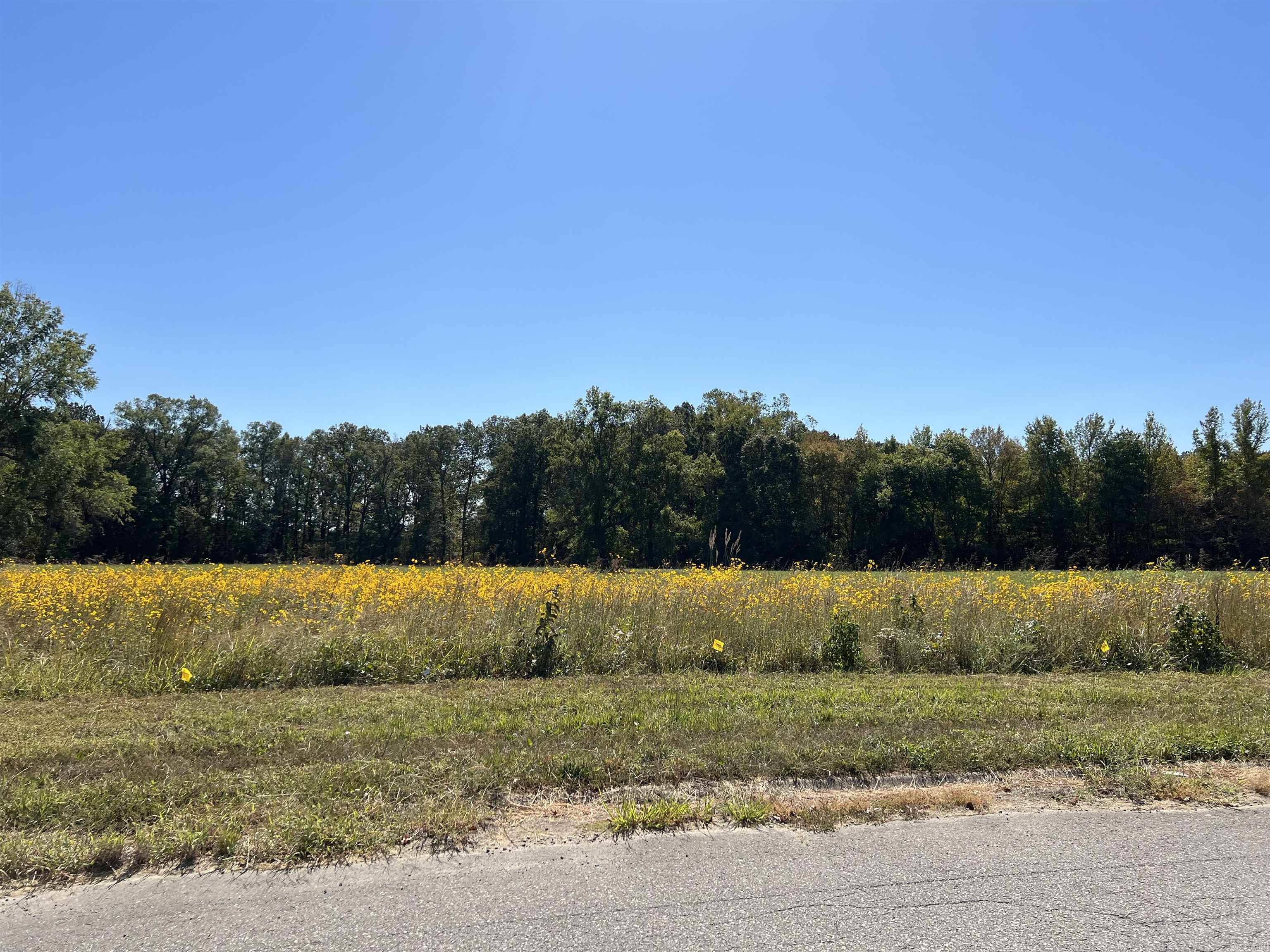 1301 Airport  Searcy, AR