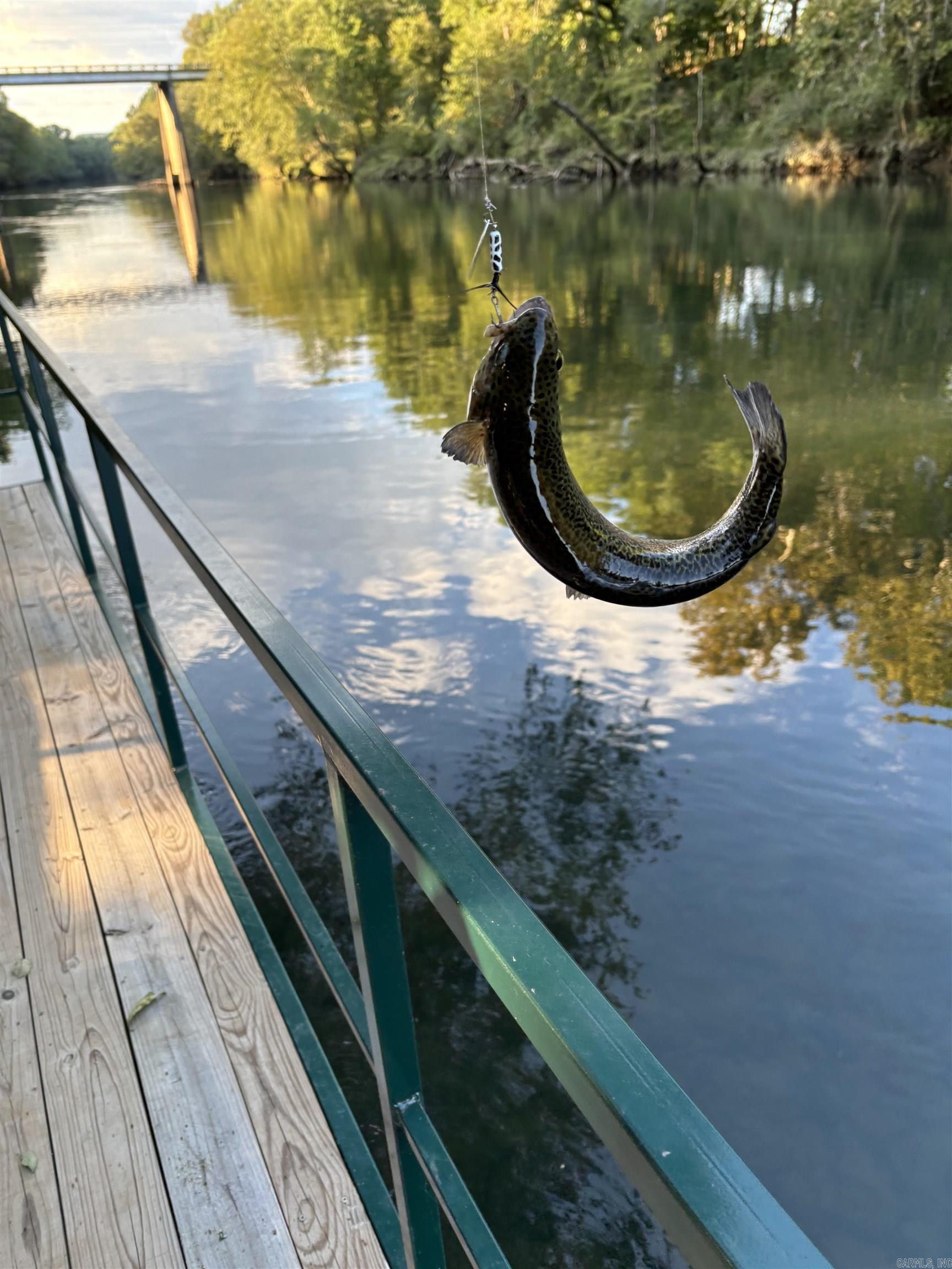 107 River Place Drive Pangburn, AR 72121-9613