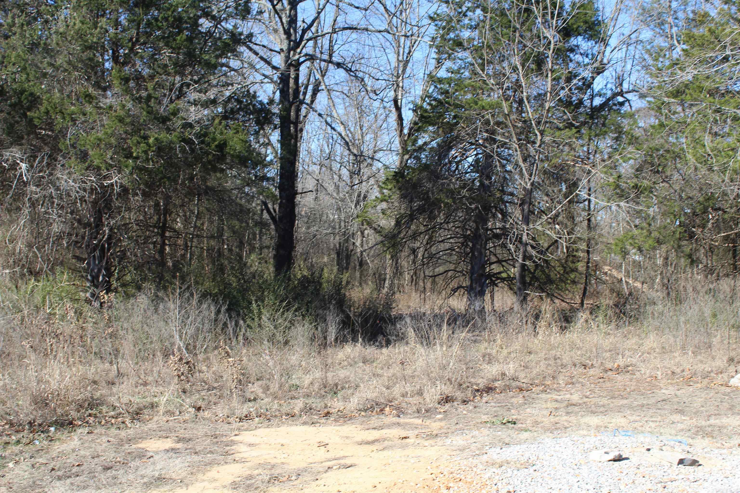 3481 S Hwy 14  Yellville, AR