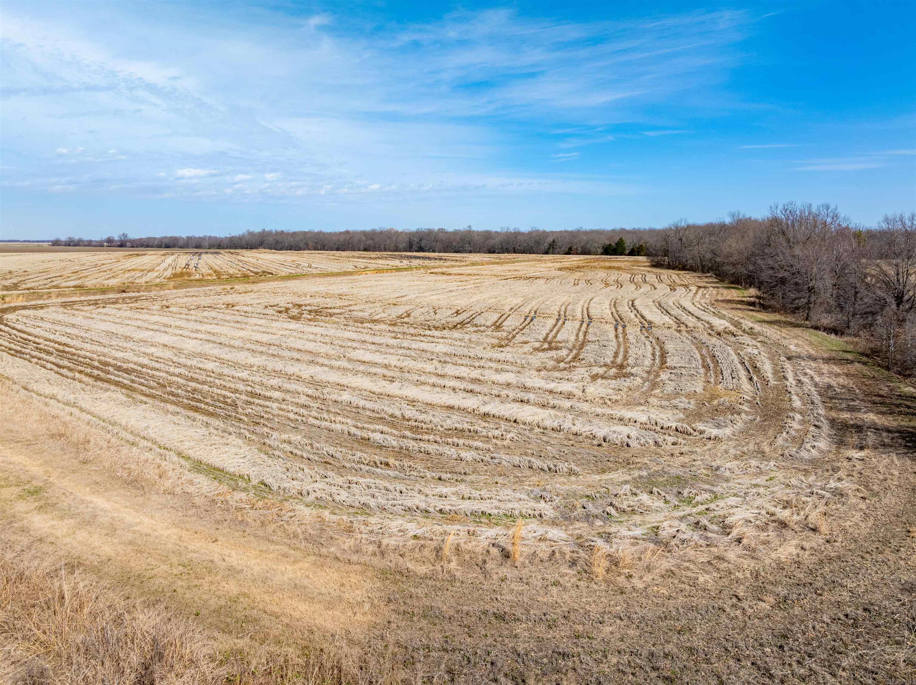  Jackson 74  Swifton, AR