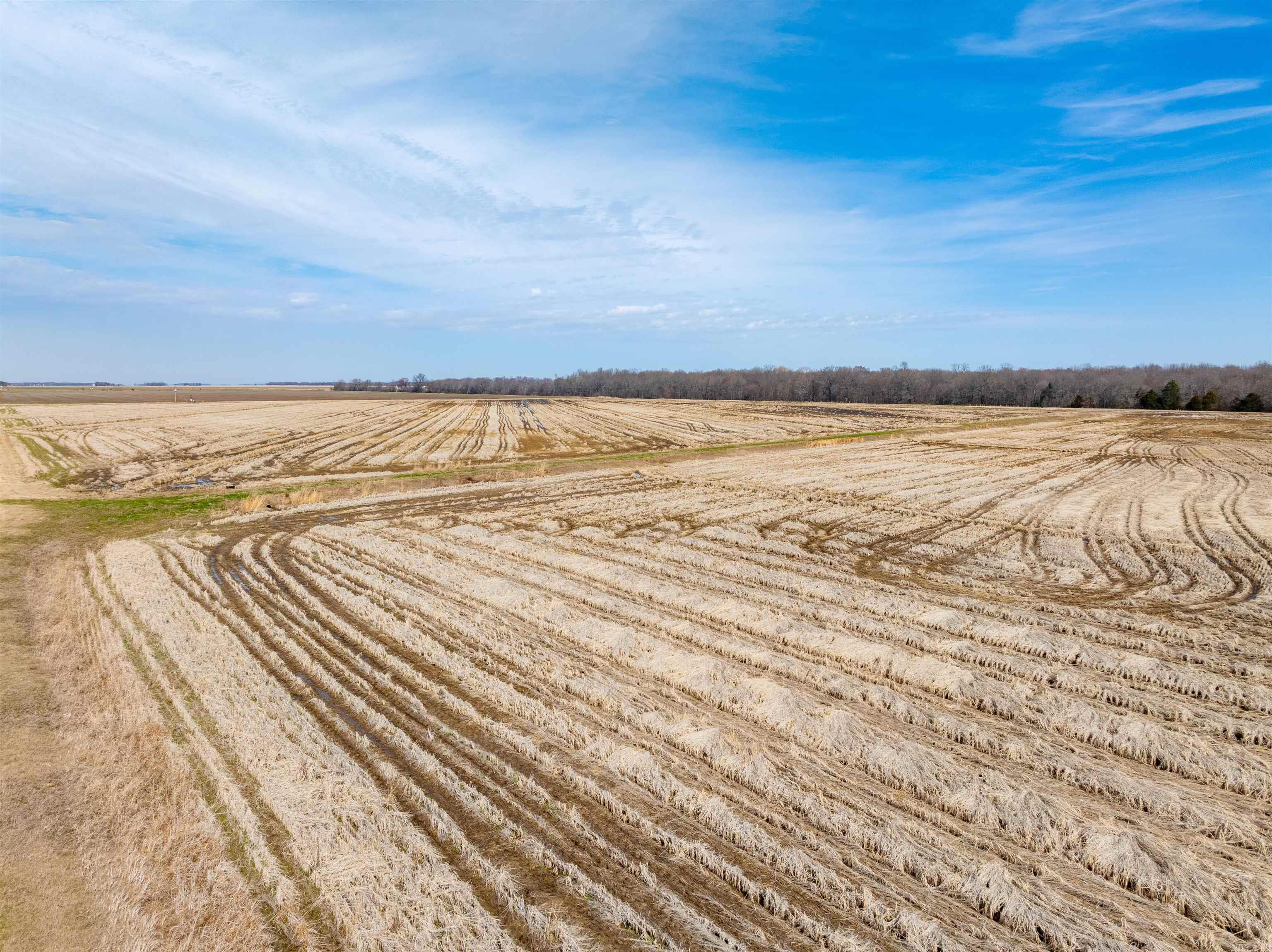  Jackson 74  Swifton, AR