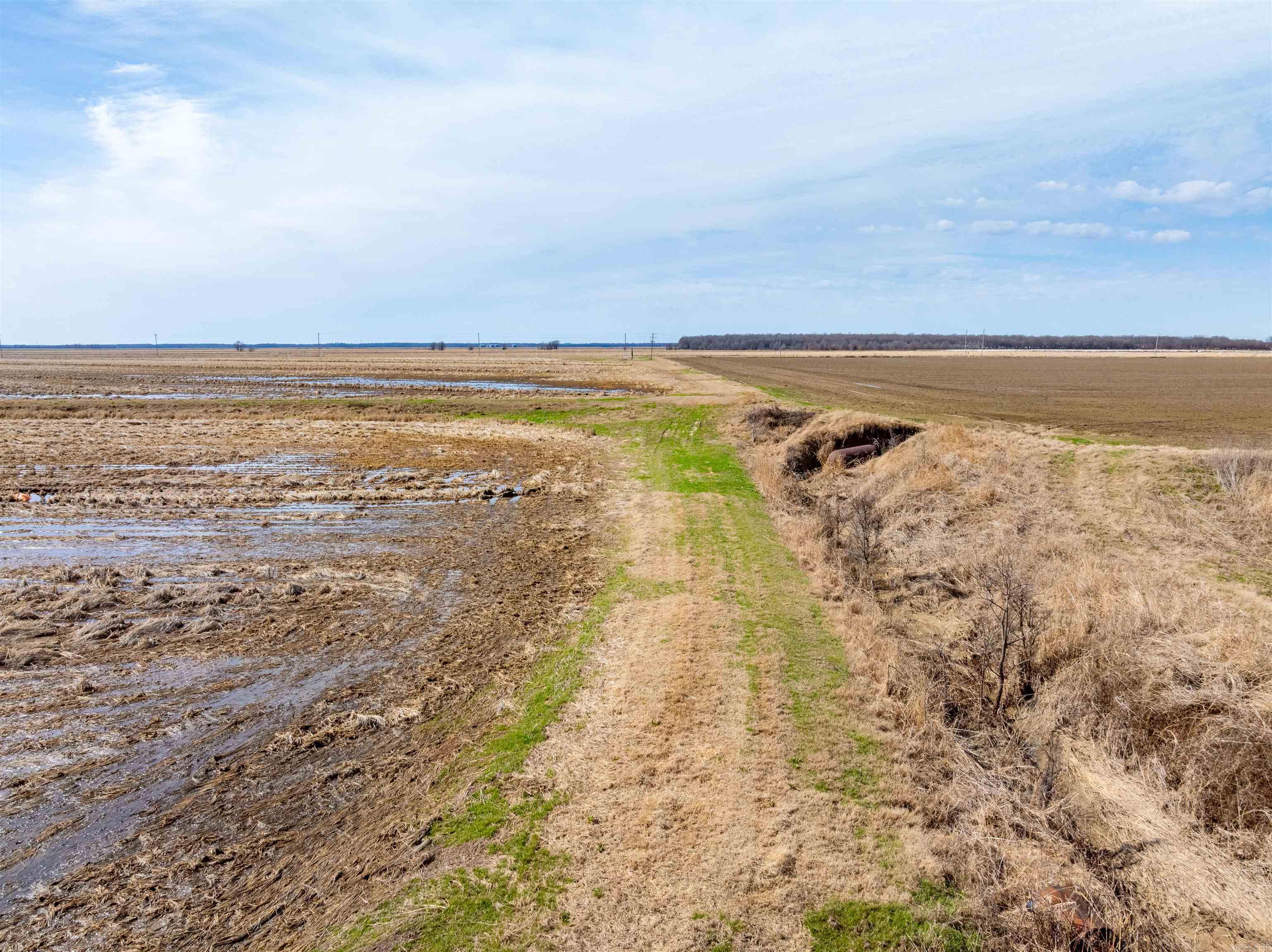  Jackson 74  Swifton, AR