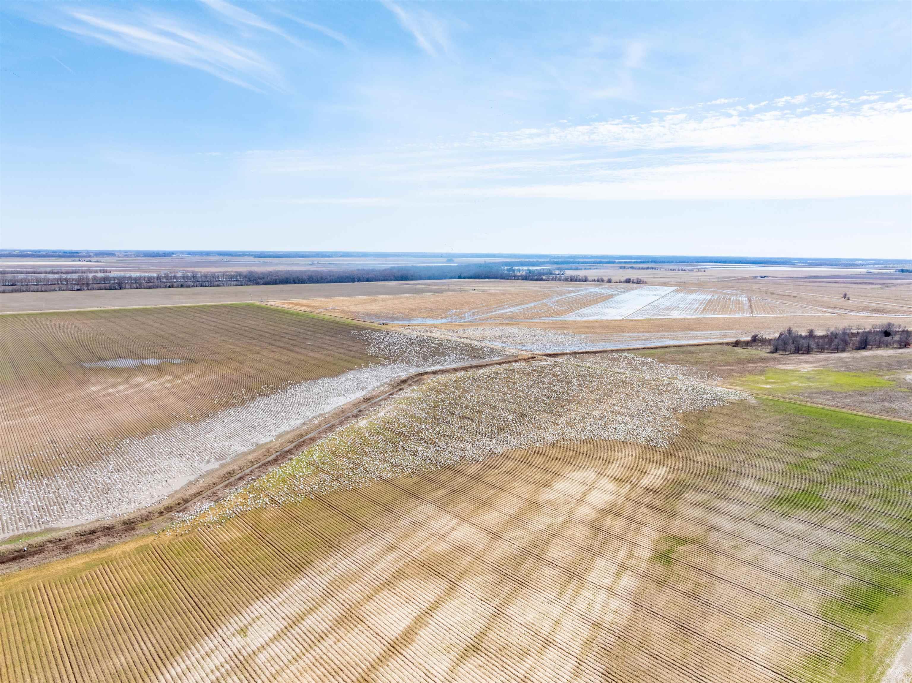  Jackson 74  Swifton, AR