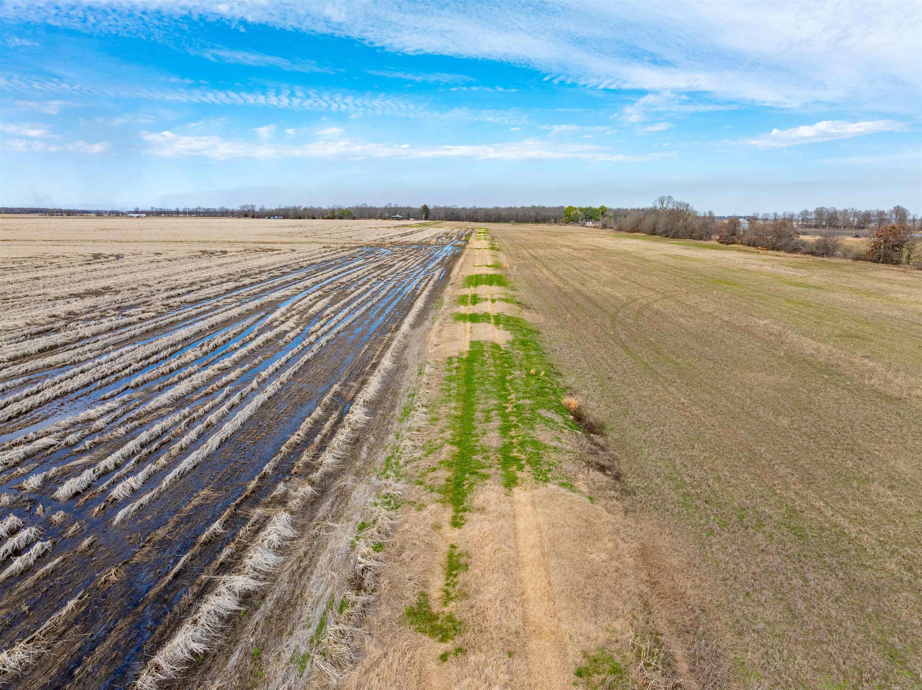  Jackson 74  Swifton, AR