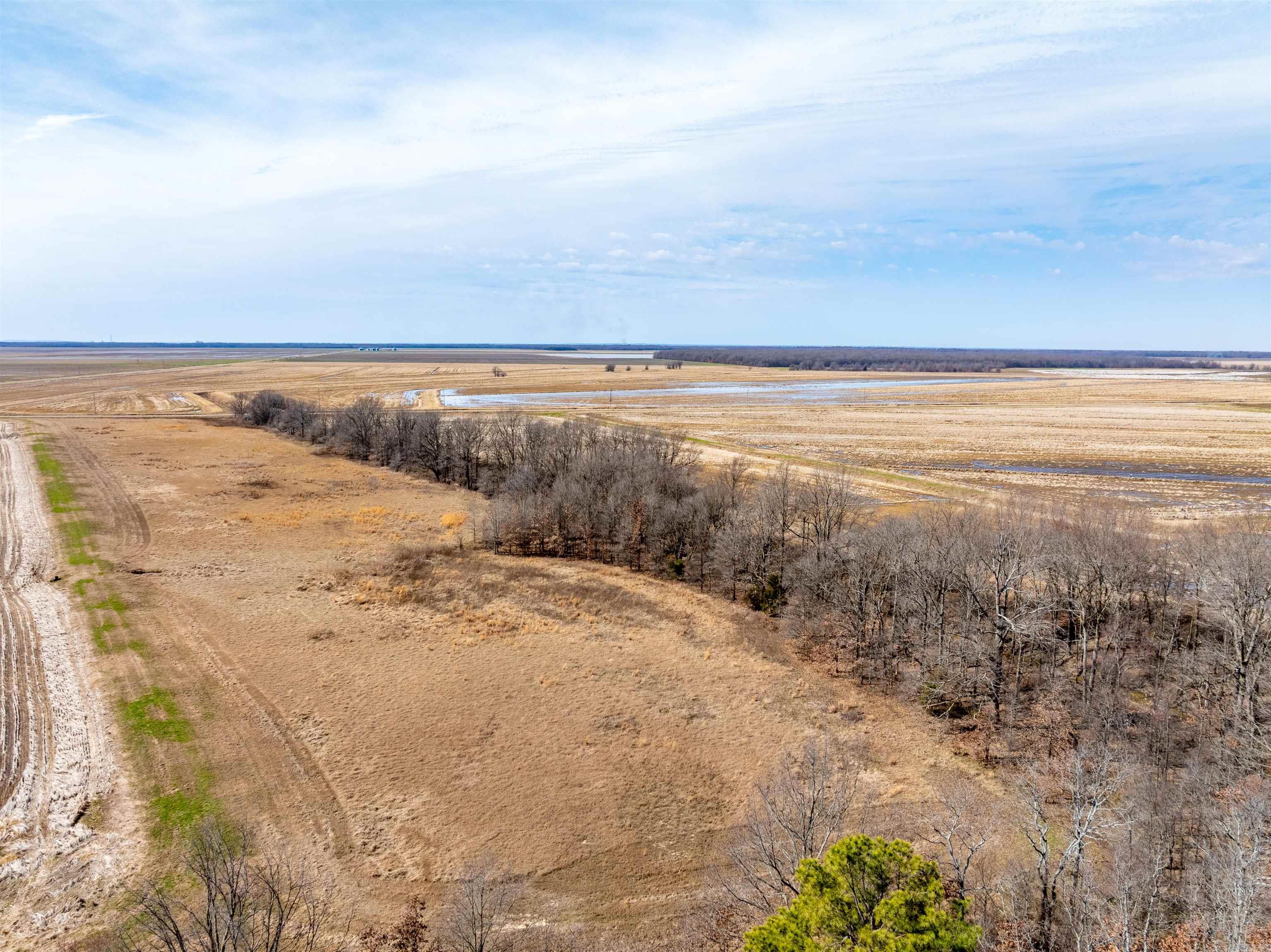  Jackson 74  Swifton, AR