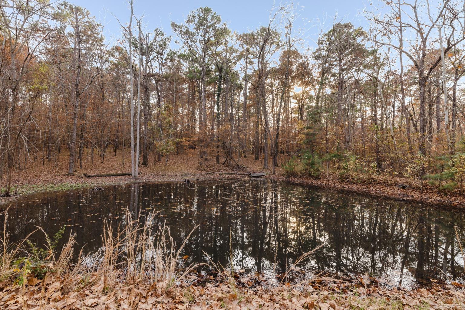 8718 Amber  Alexander, AR