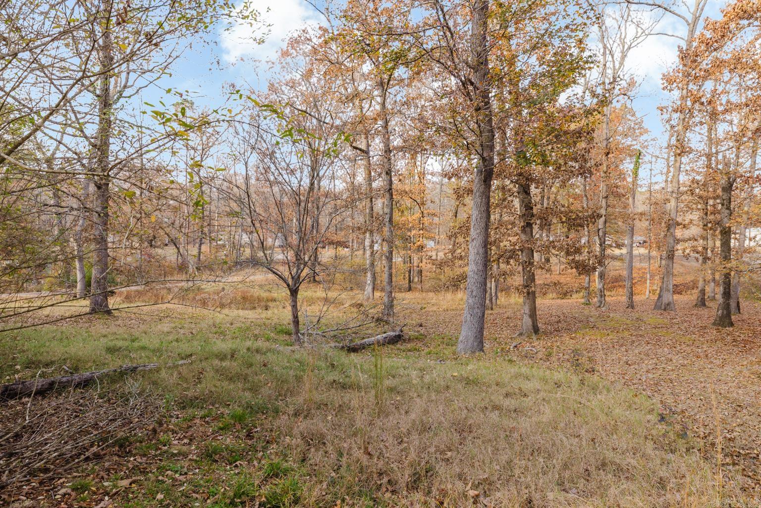 8718 Amber  Alexander, AR