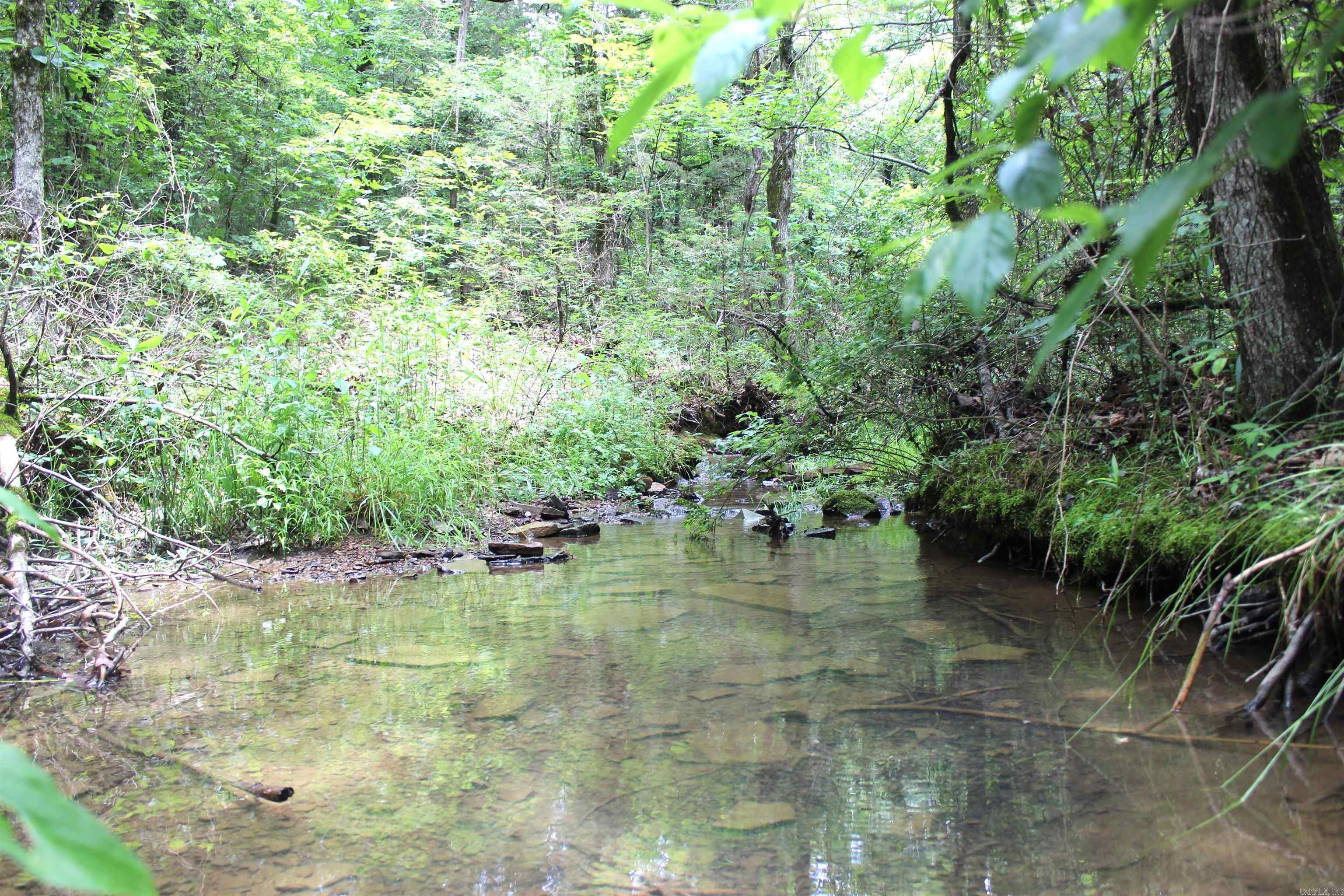 623 Batesville Mountain  Damascus, AR