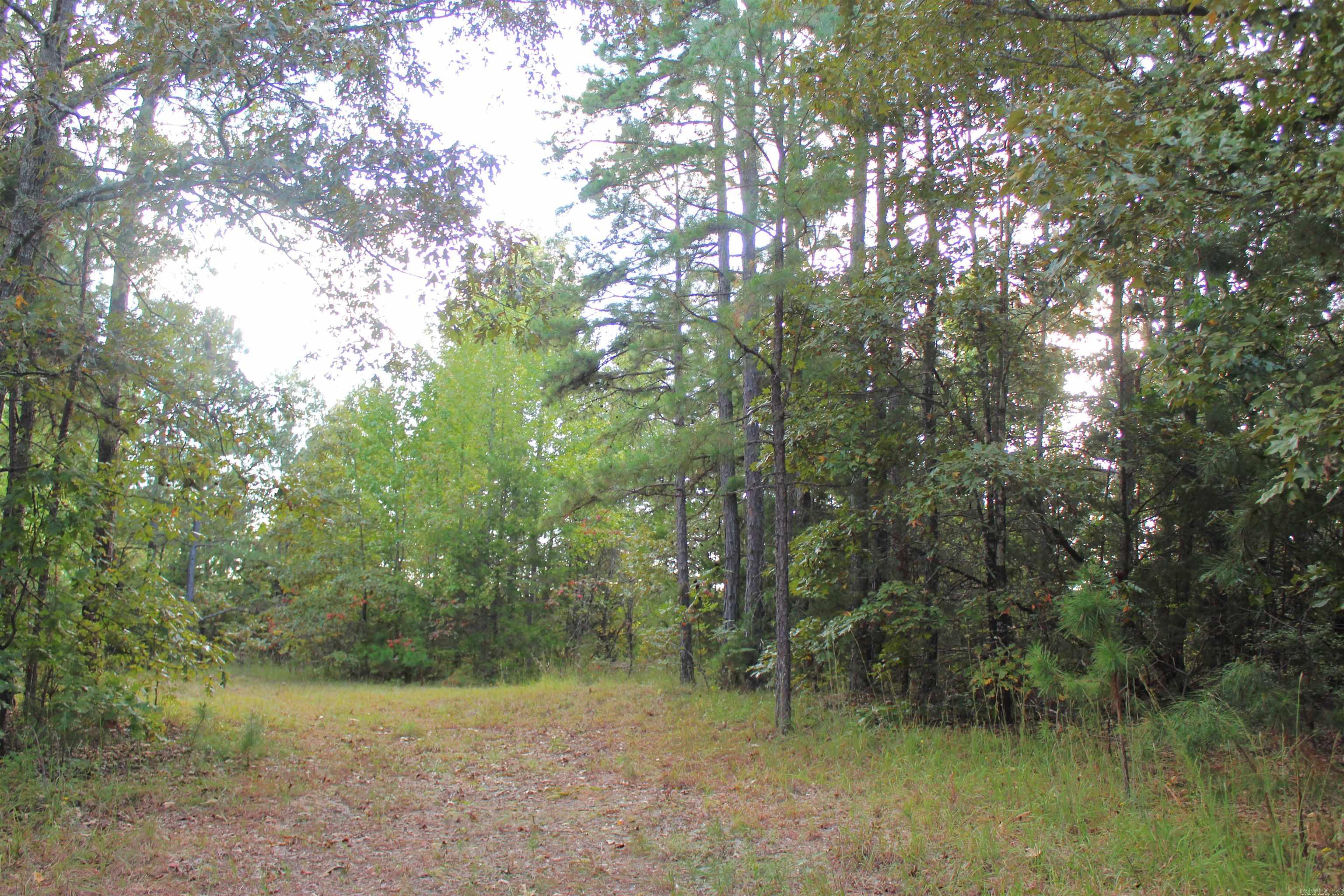 623 Batesville Mountain  Damascus, AR