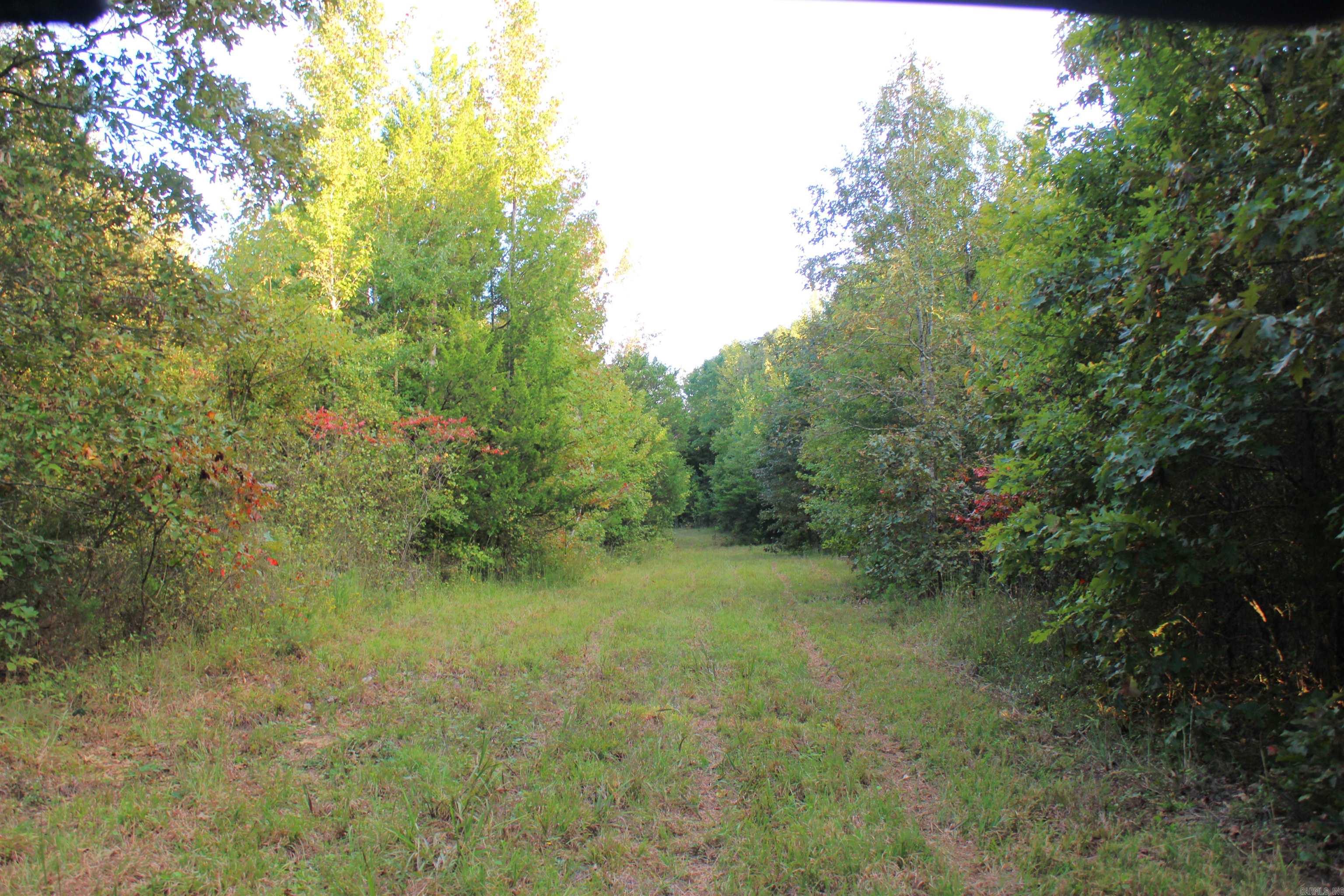 623 Batesville Mountain  Damascus, AR