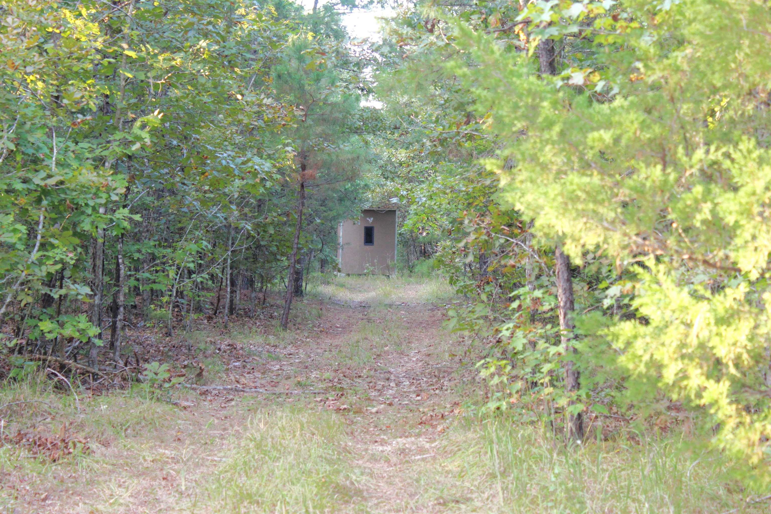 623 Batesville Mountain  Damascus, AR