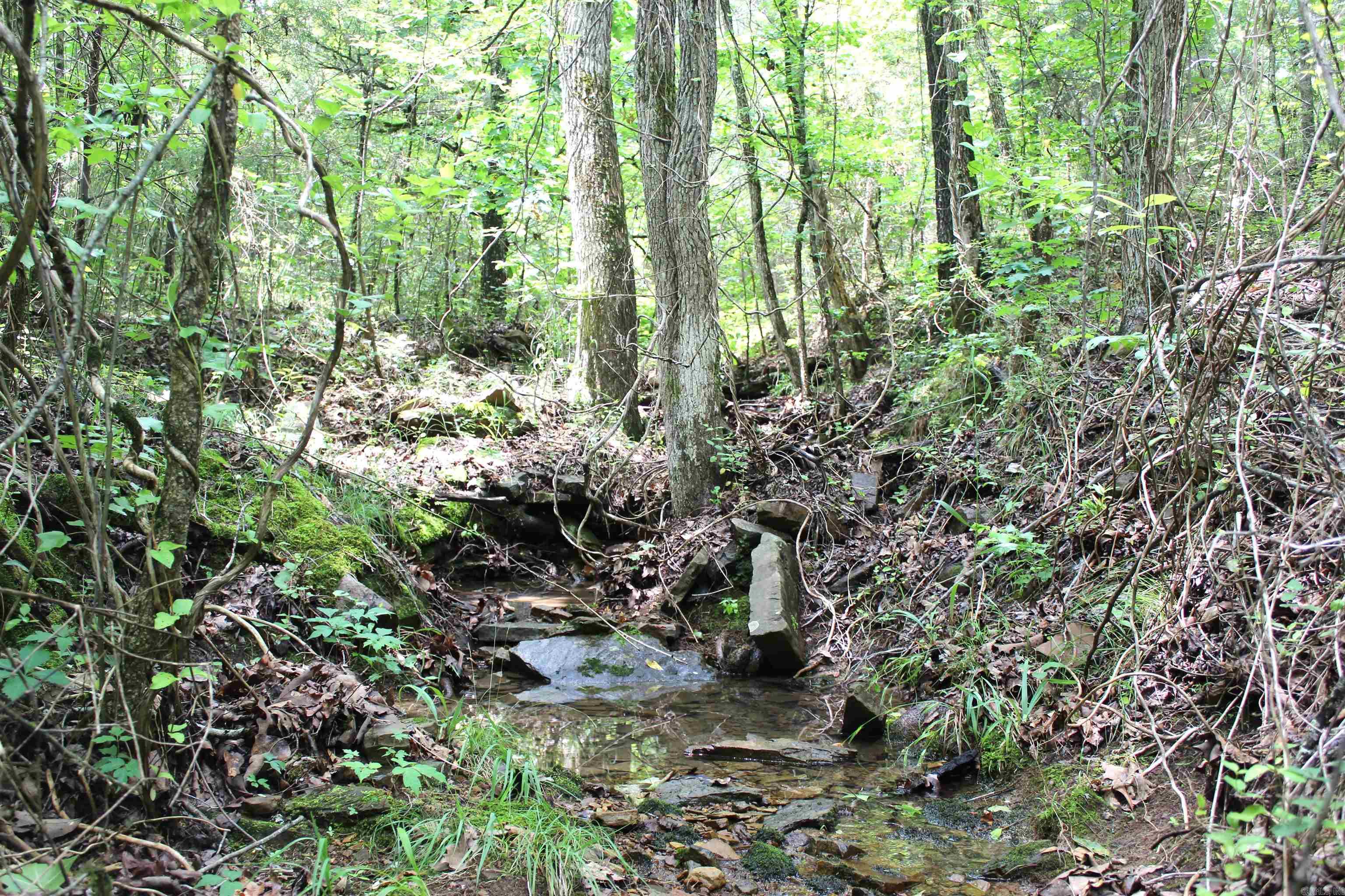 623 Batesville Mountain  Damascus, AR