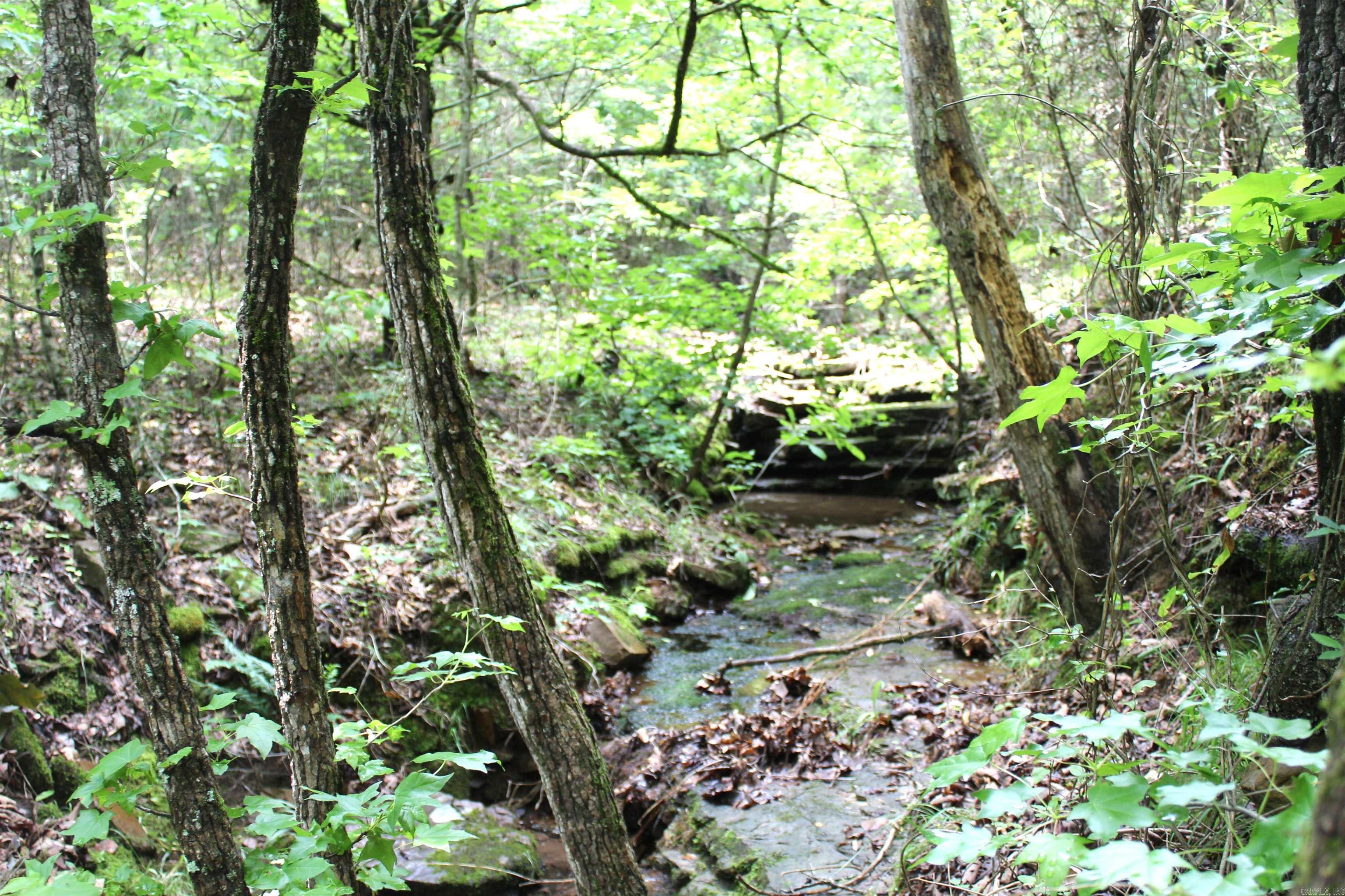 623 Batesville Mountain  Damascus, AR