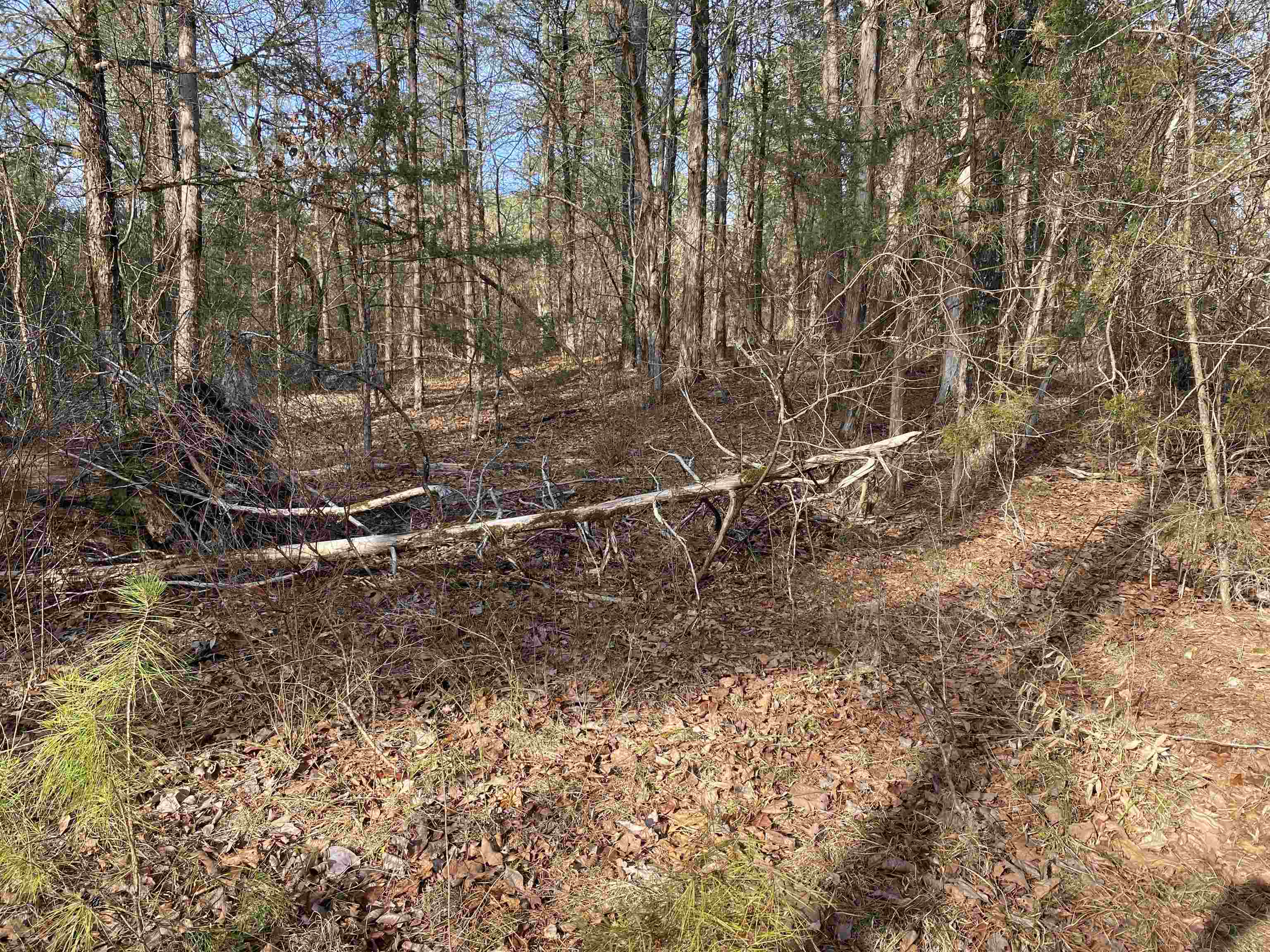 400 Tree Farm Road  Melbourne, AR