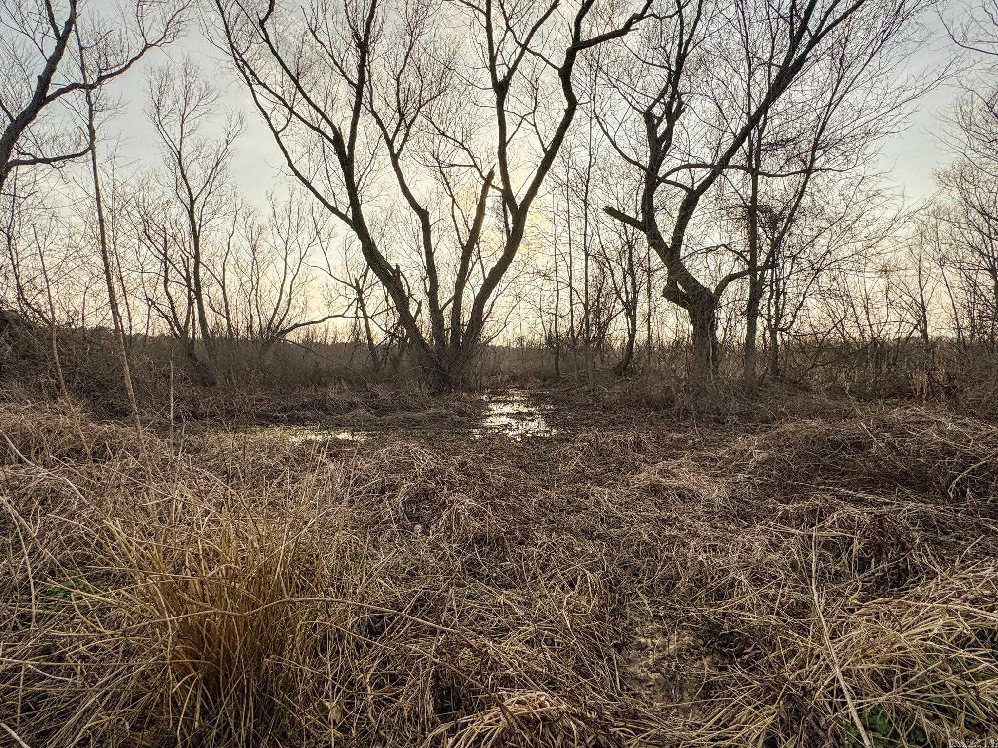  HWY 86  Holly Grove, AR