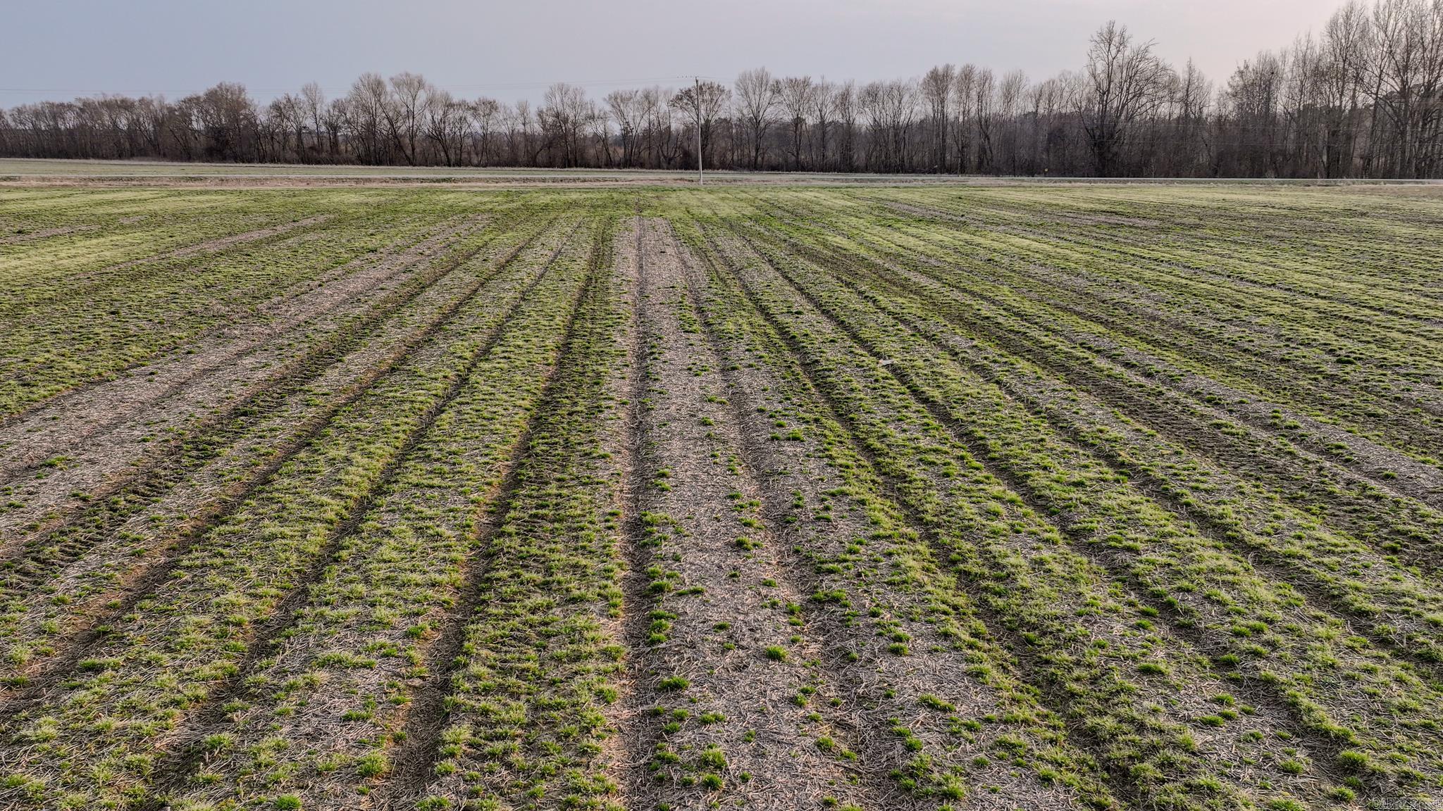  HWY 86  Holly Grove, AR