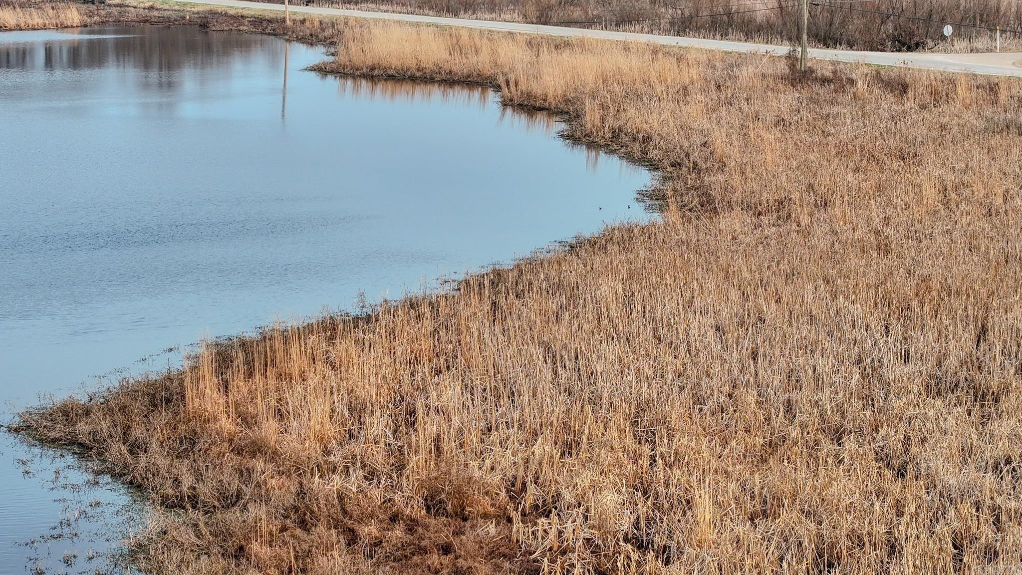  HWY 86  Holly Grove, AR