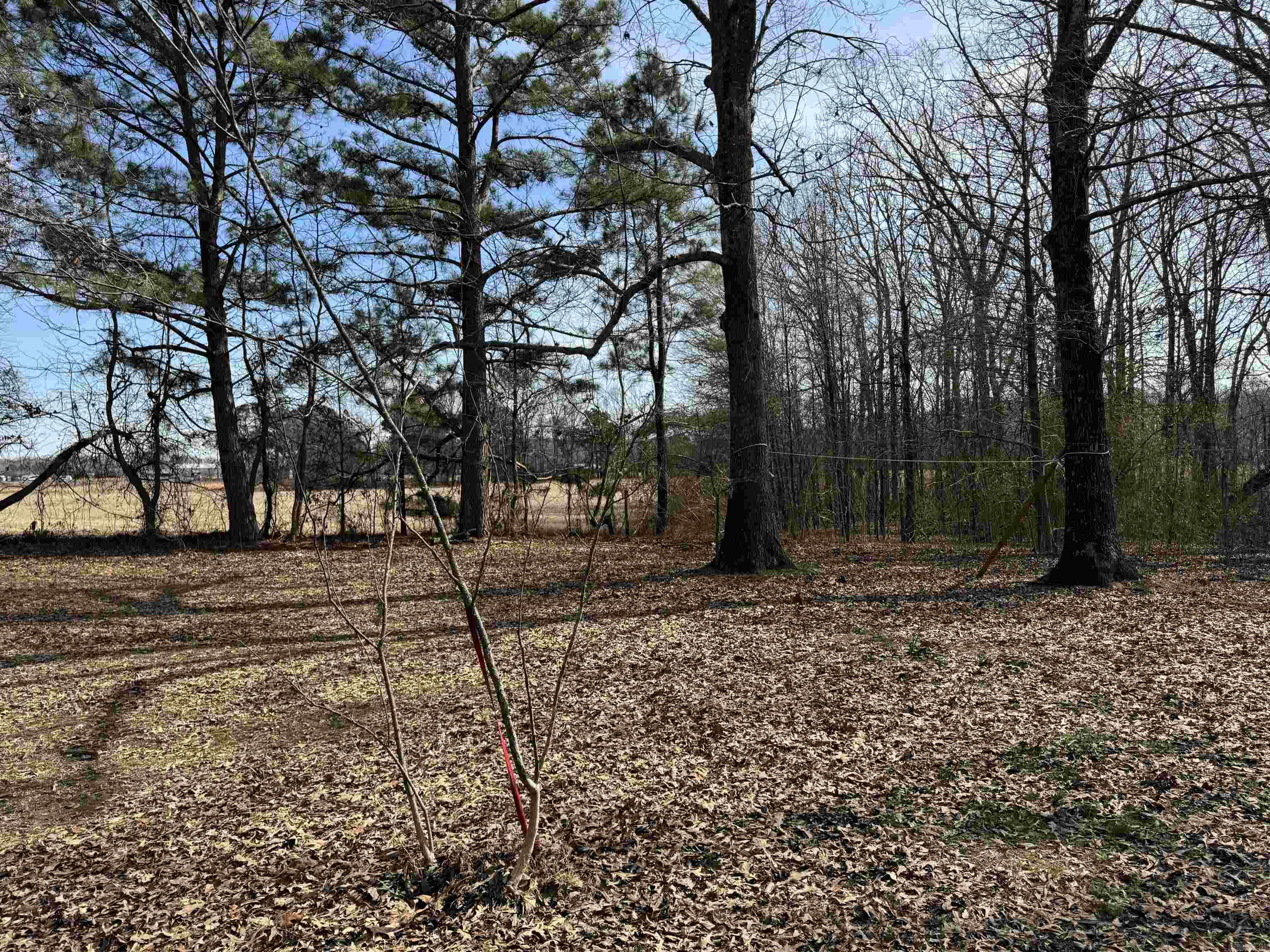 7785 Mt Tabor  Lonoke, AR