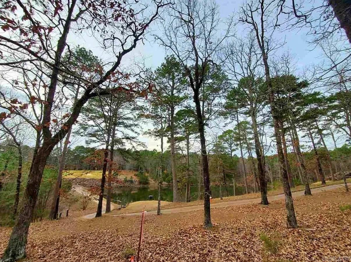 360 Kustrin Drive Drasco, AR 72530