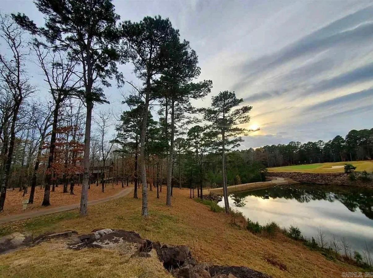 360 Kustrin Drive Drasco, AR 72530