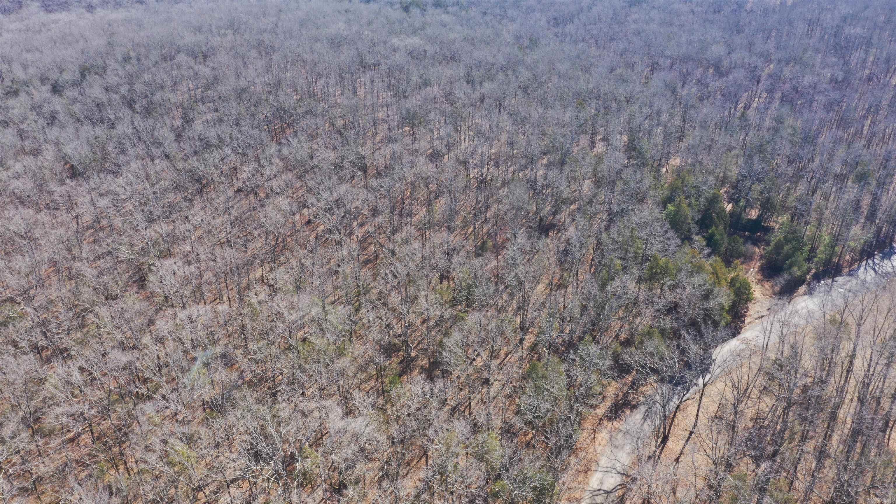 00 McNew Cemetery Rd  Greenbrier, AR