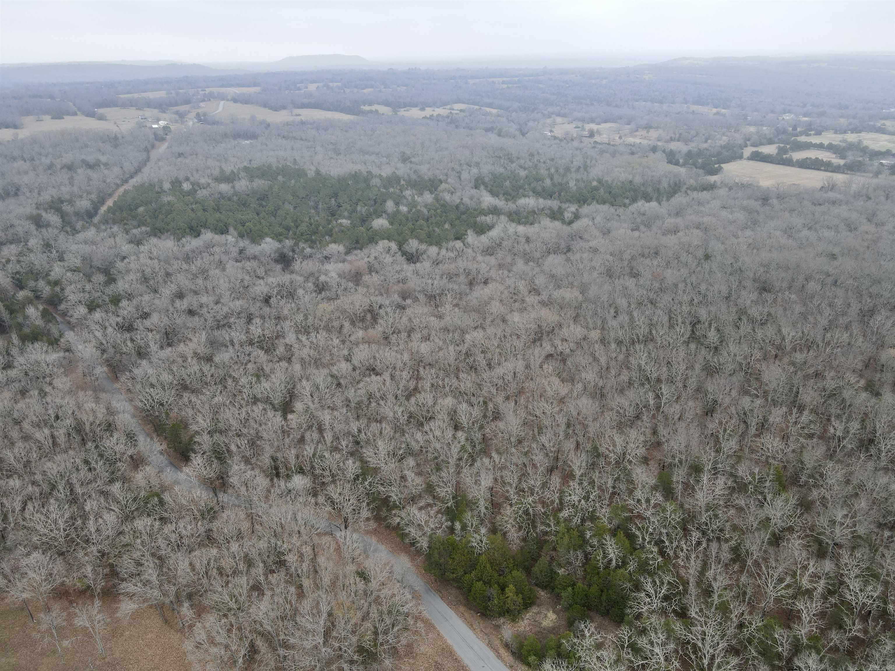 00 McNew Cemetery Rd  Greenbrier, AR