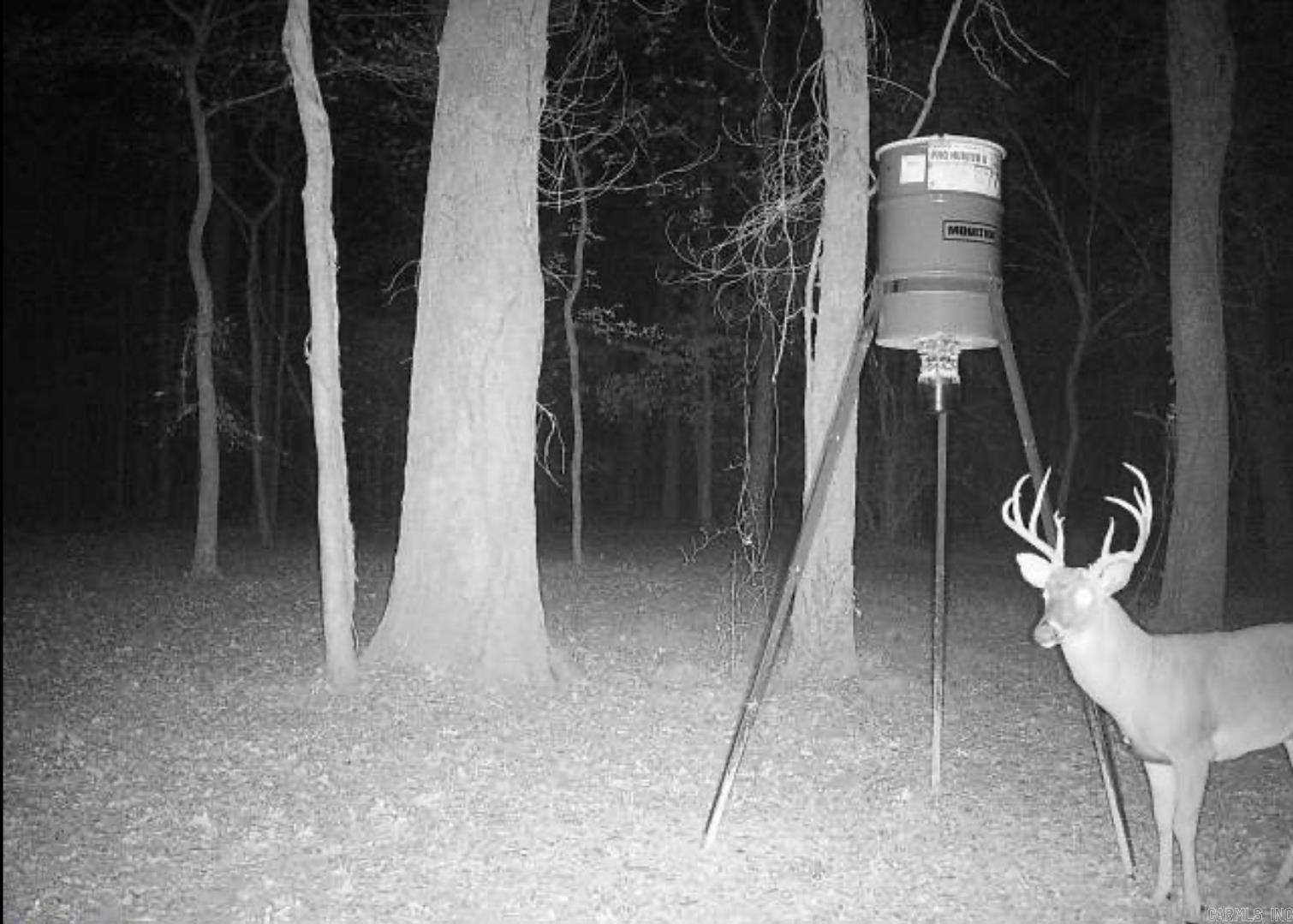 00 McNew Cemetery Rd  Greenbrier, AR