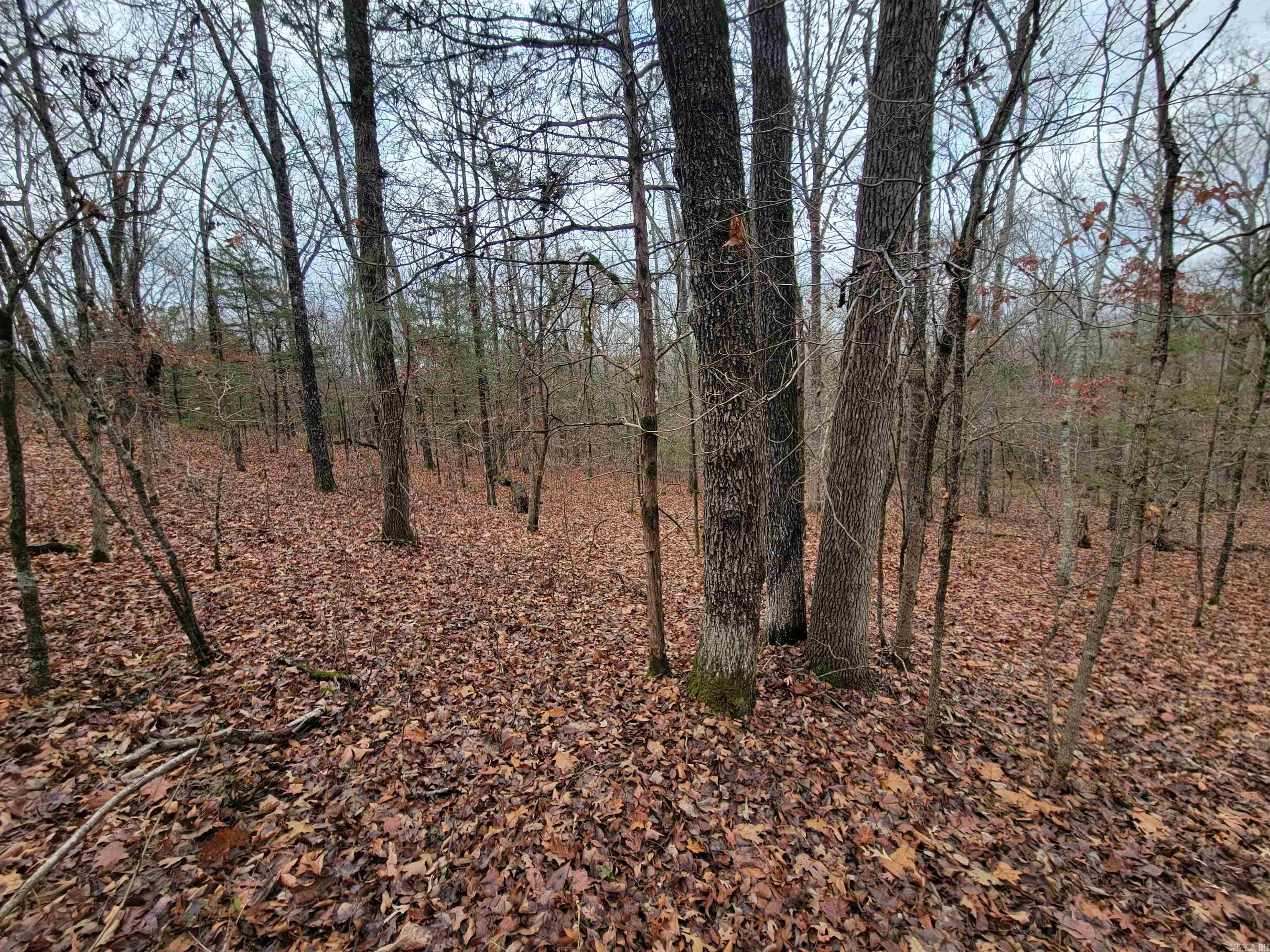 00 McNew Cemetery Rd  Greenbrier, AR