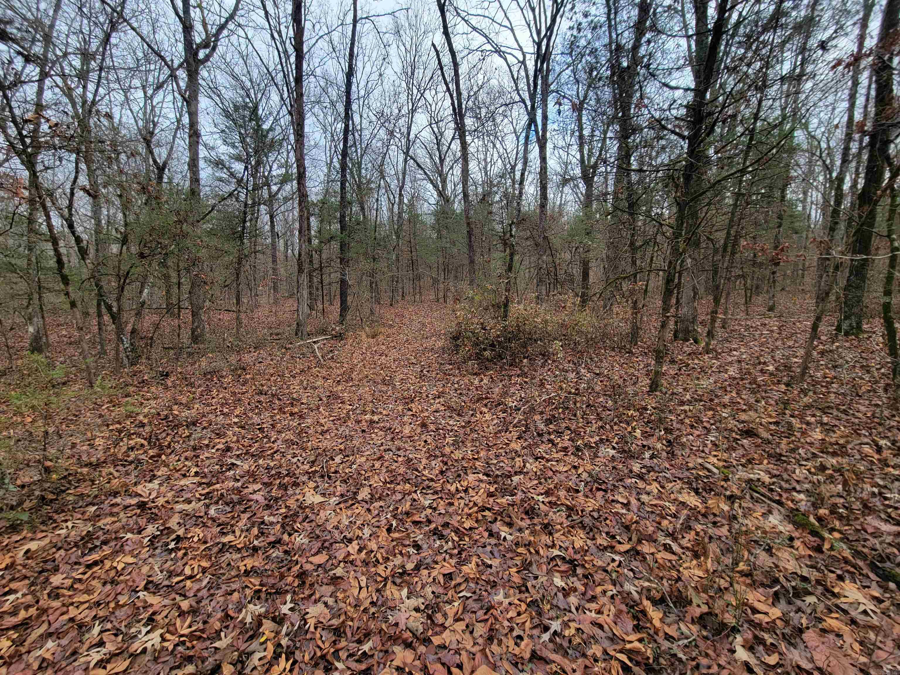 00 McNew Cemetery Rd  Greenbrier, AR