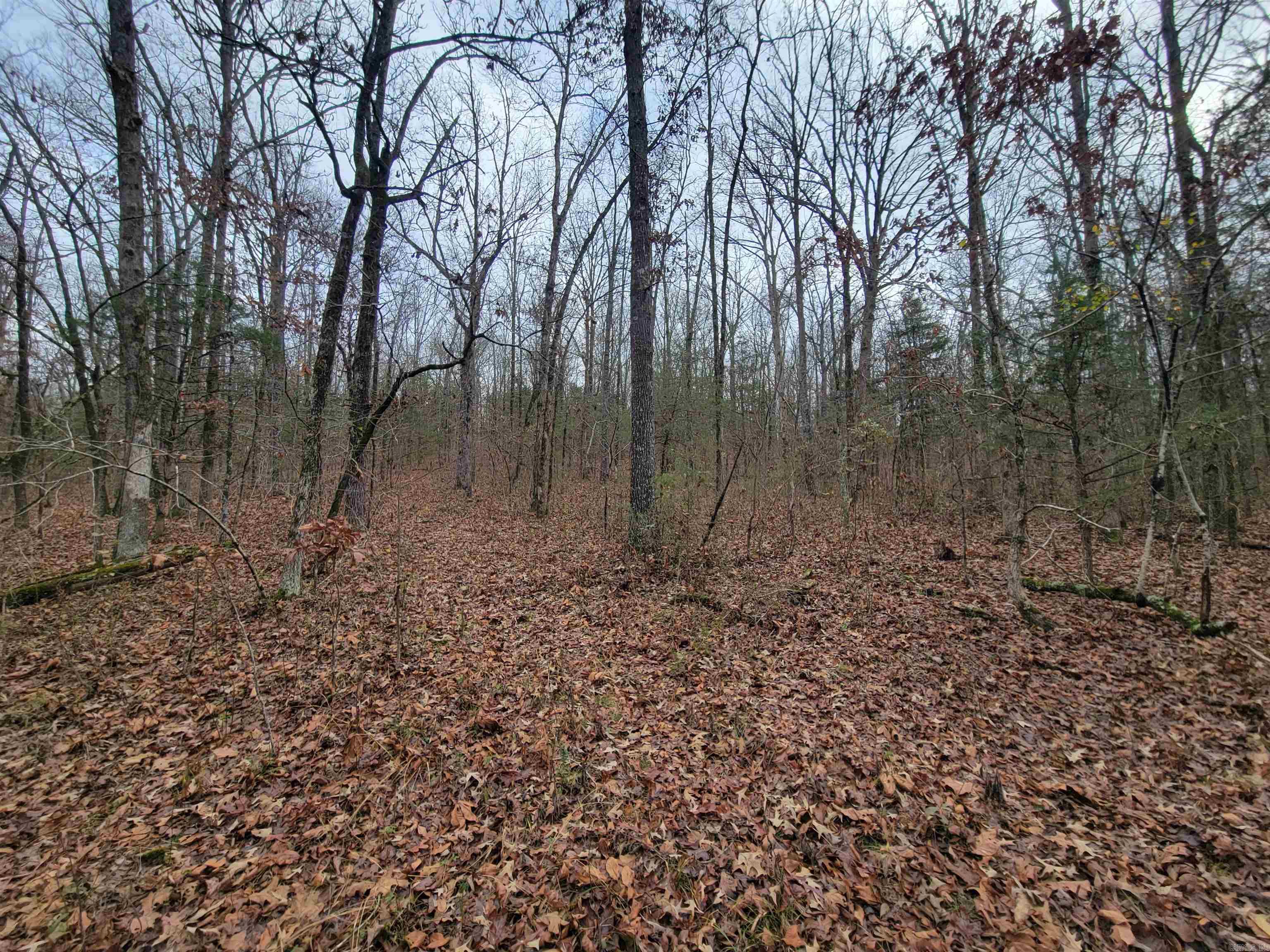 00 McNew Cemetery Rd  Greenbrier, AR