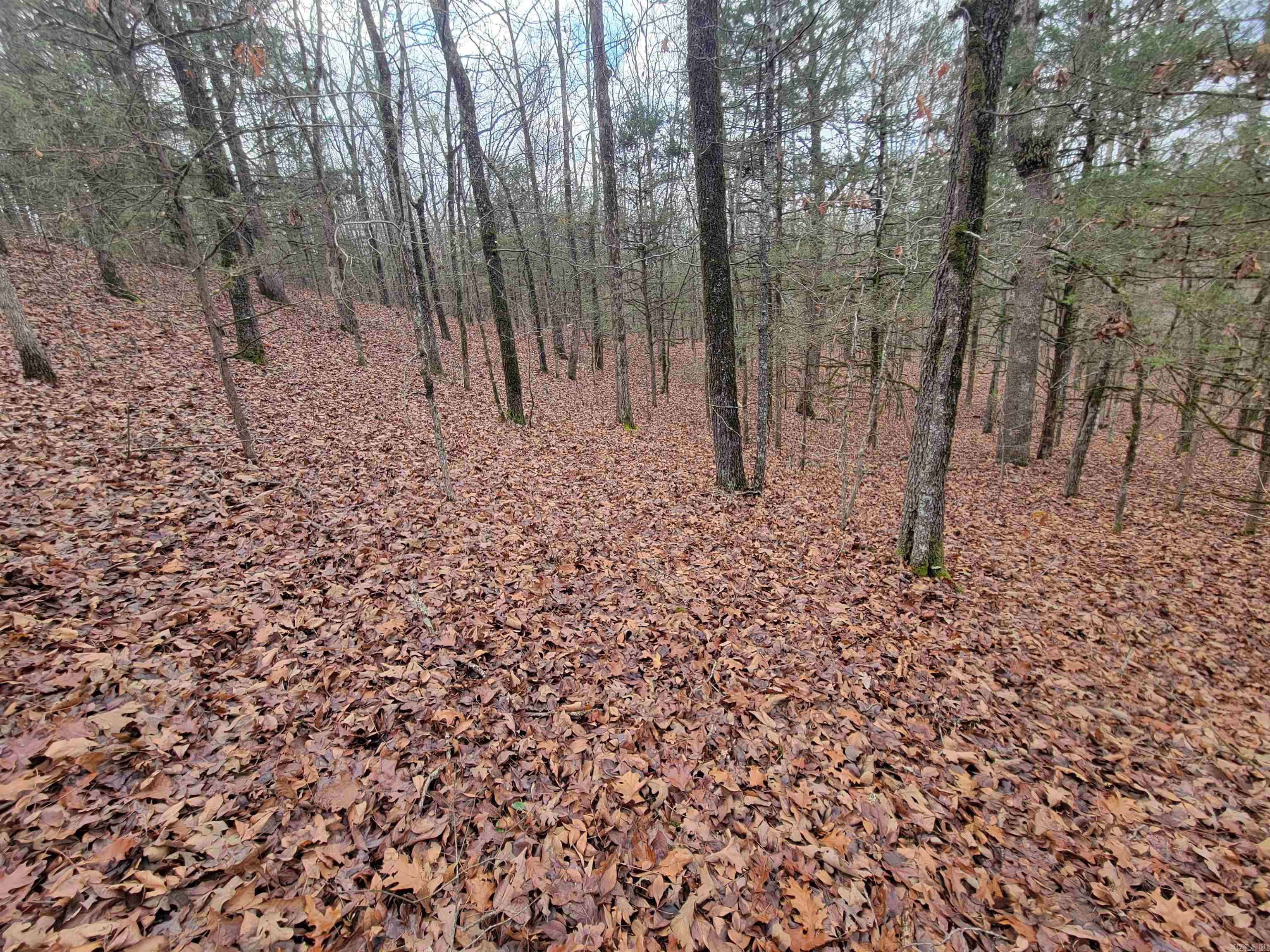 00 McNew Cemetery Rd  Greenbrier, AR