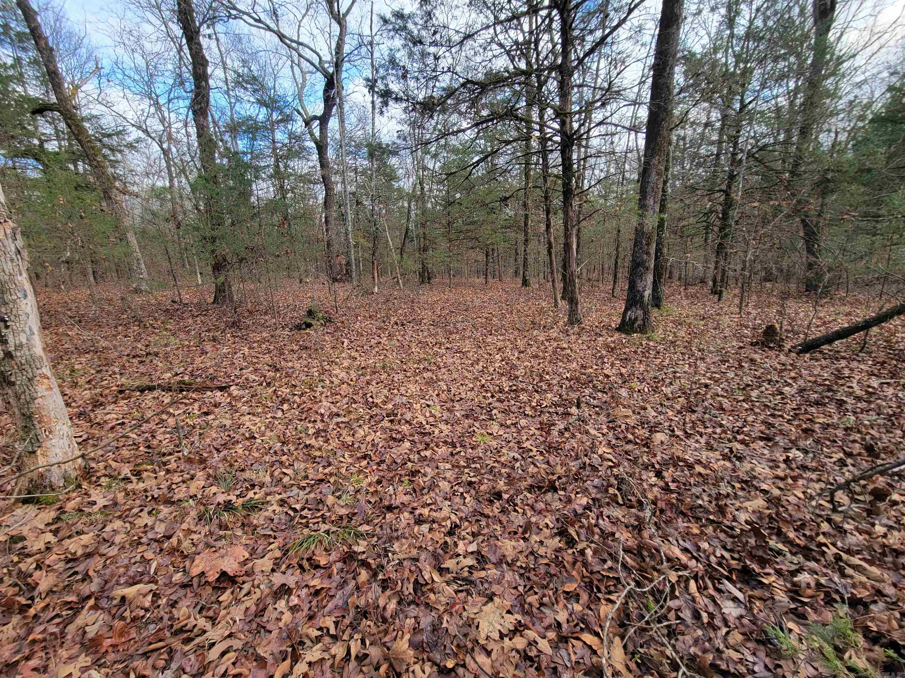 00 McNew Cemetery Rd  Greenbrier, AR