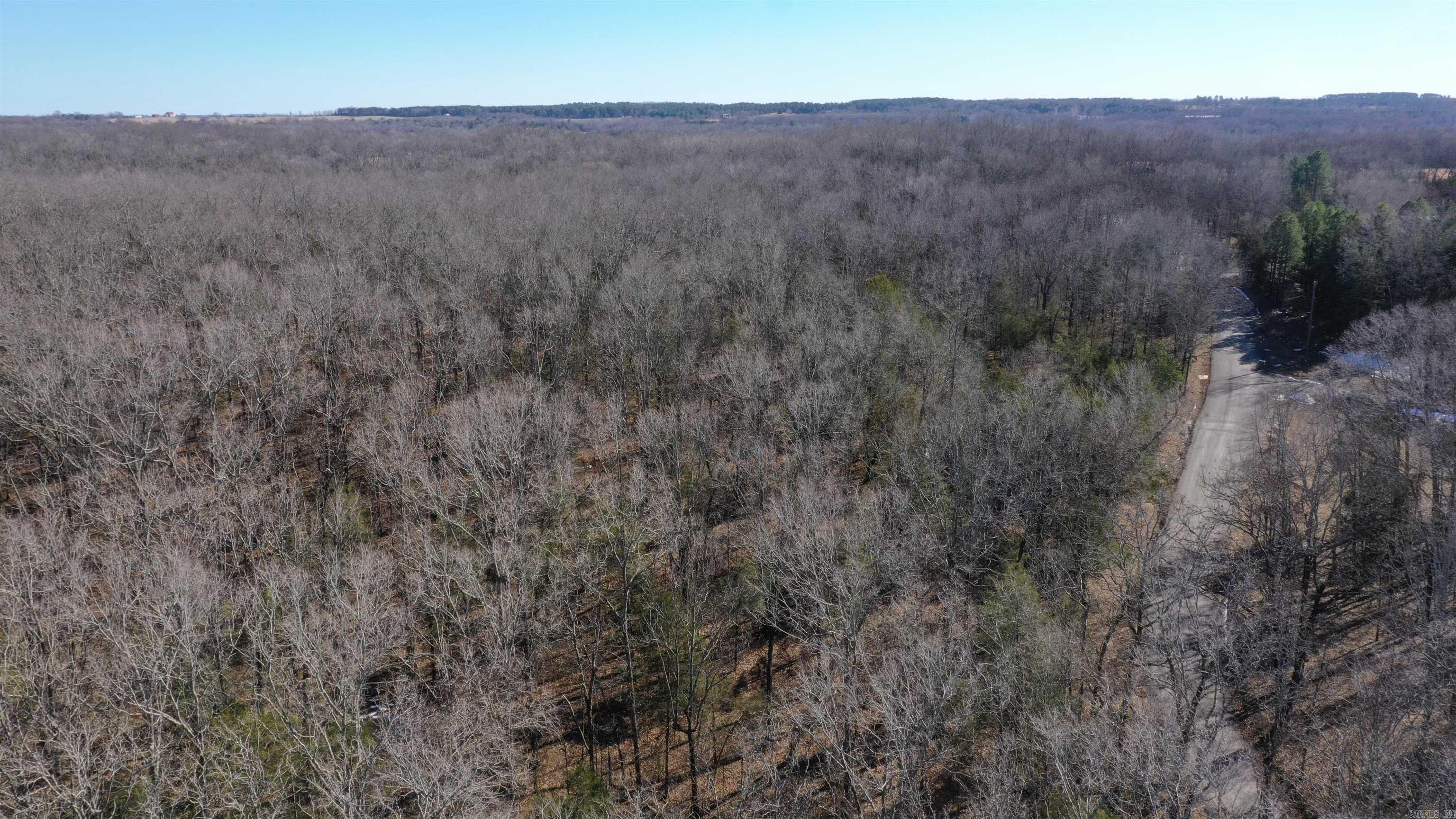 00 McNew Cemetery Rd  Greenbrier, AR