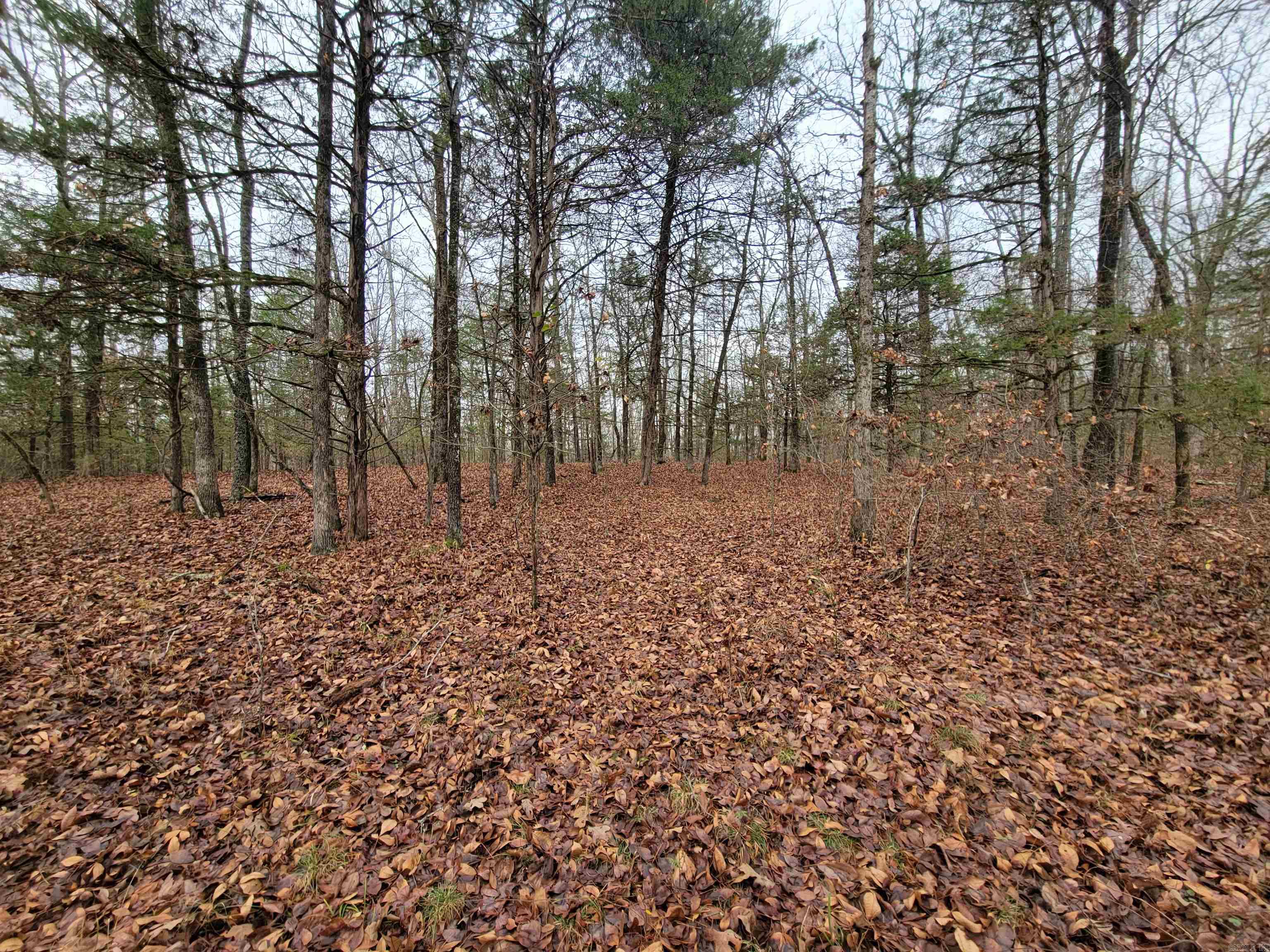 00 McNew Cemetery Rd  Greenbrier, AR