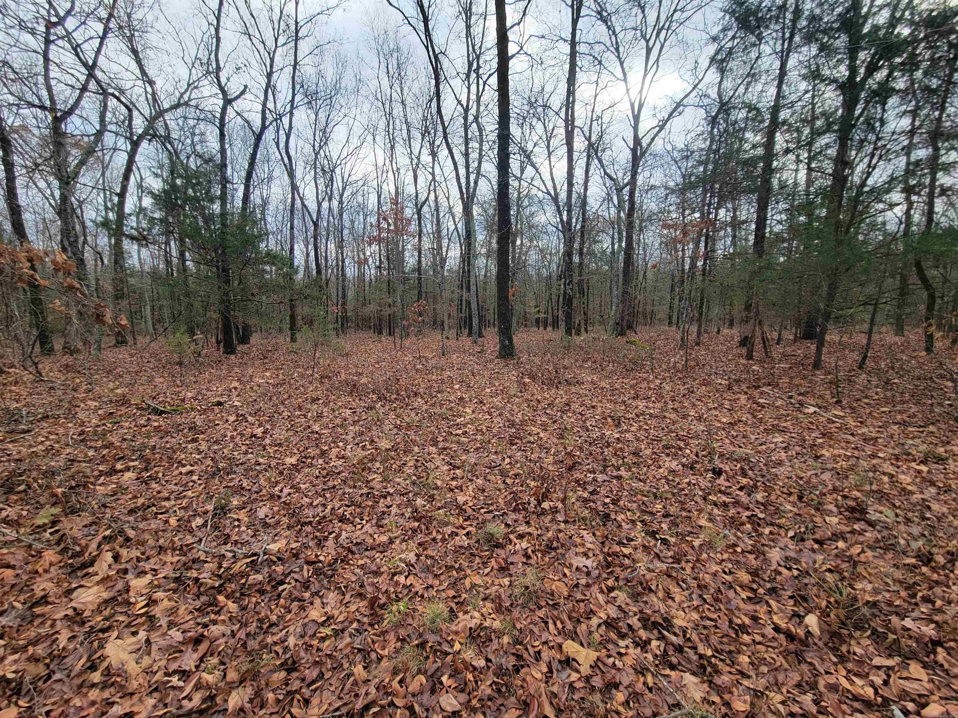 00 McNew Cemetery Rd  Greenbrier, AR